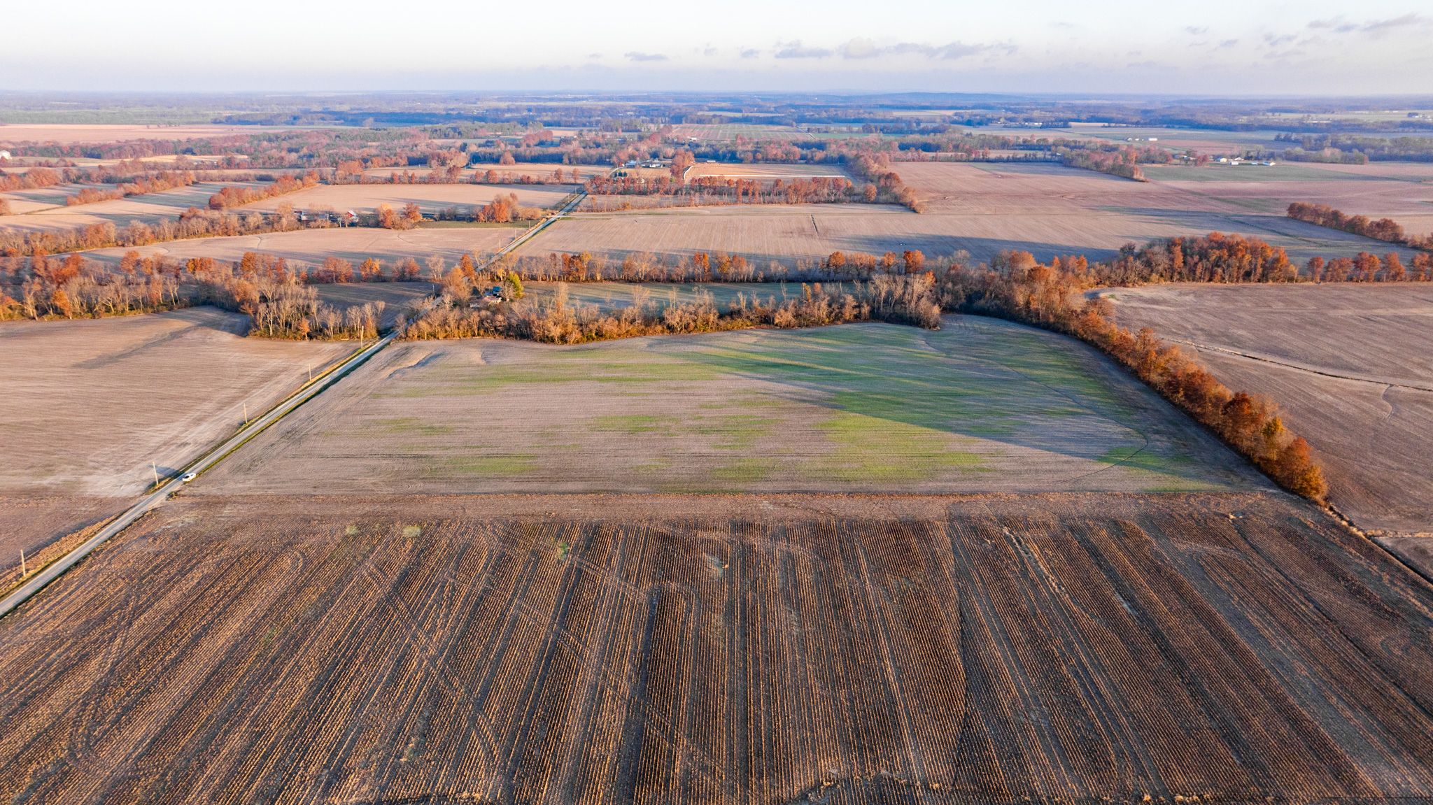 Tract 1. 39 +/- Acres