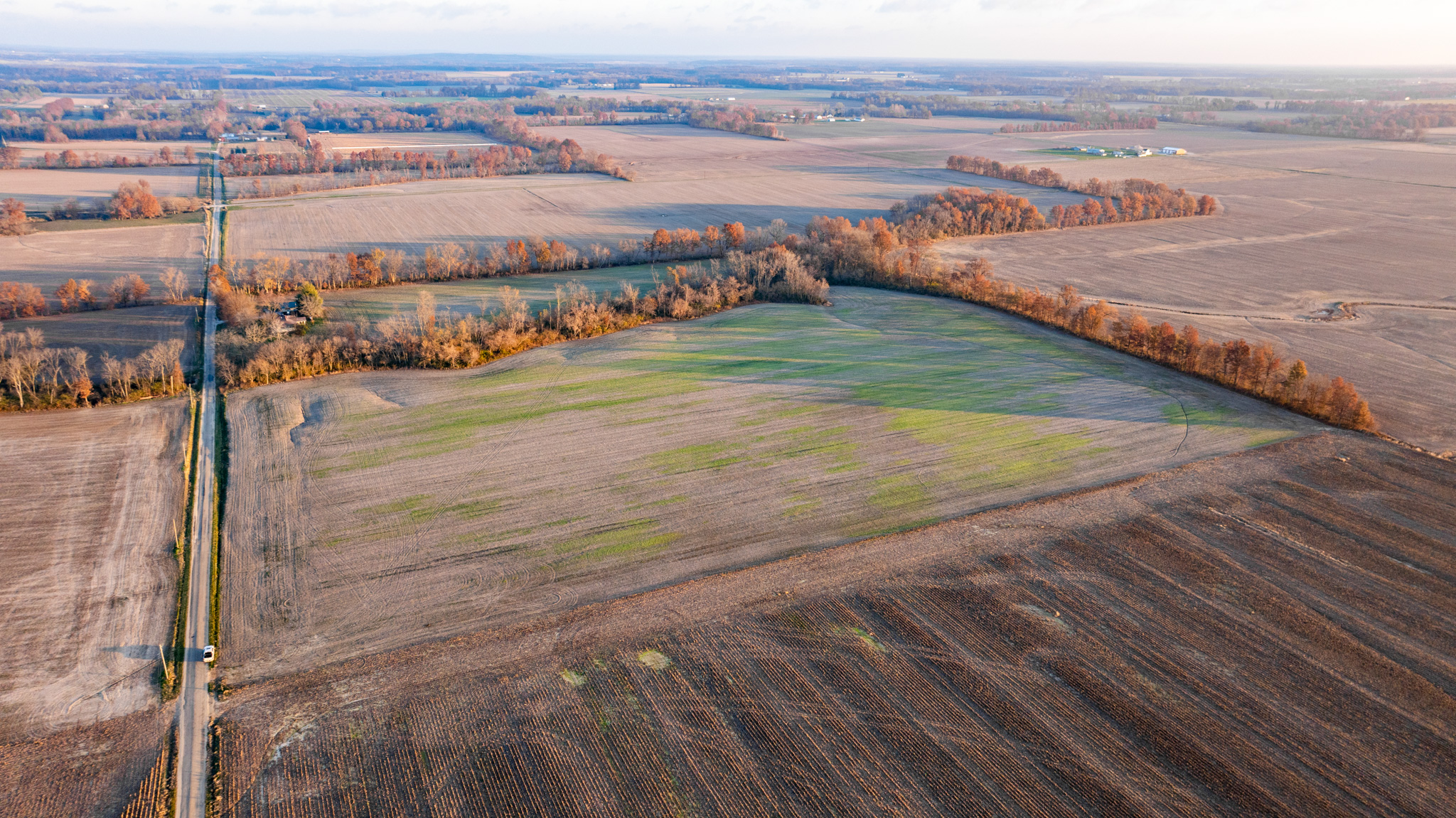 Tract 1. 39 +/- Acres