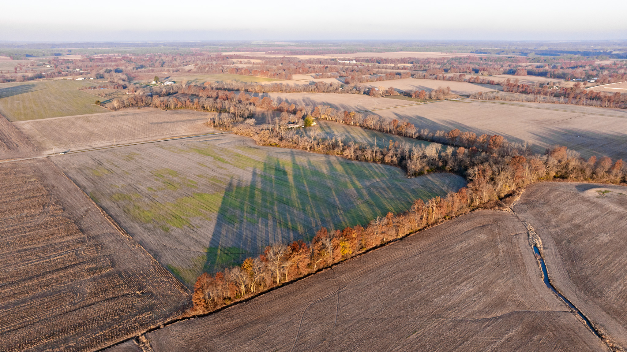 Tract 1. 39 +/- Acres