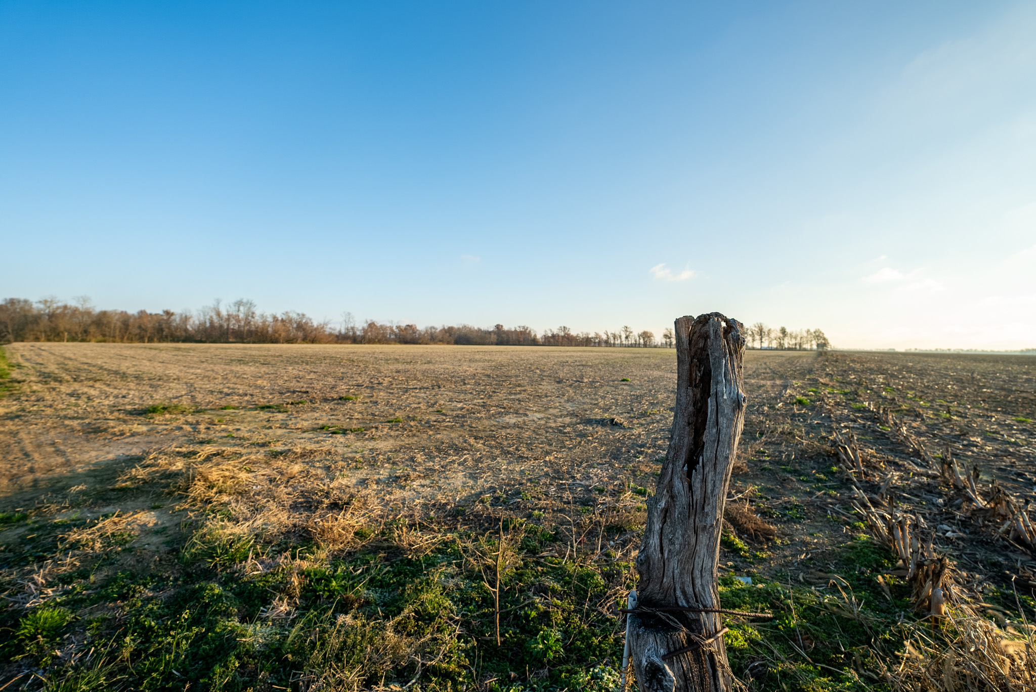 Tract 1. 39 +/- Acres
