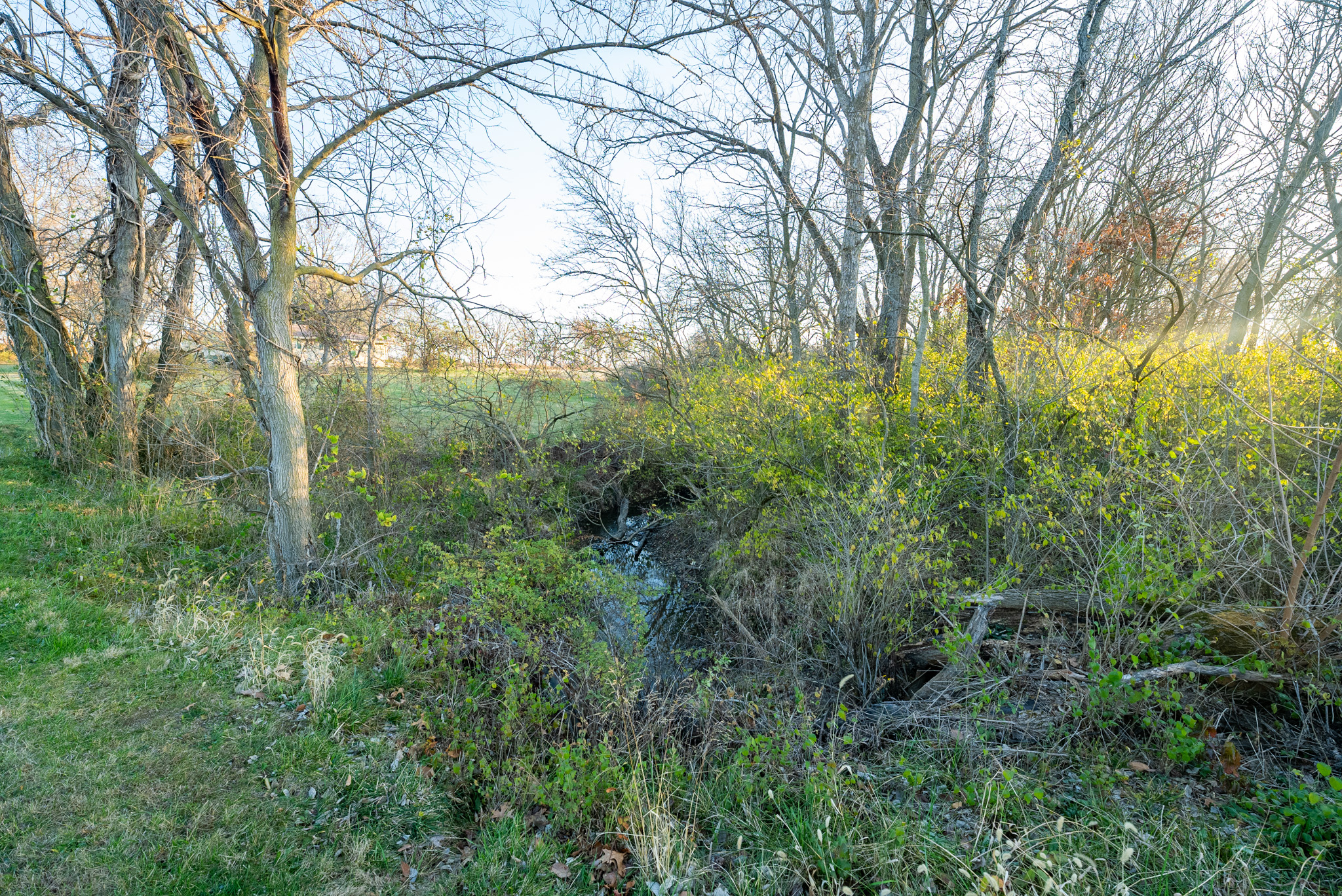 Tract 1. 39 +/- Acres
