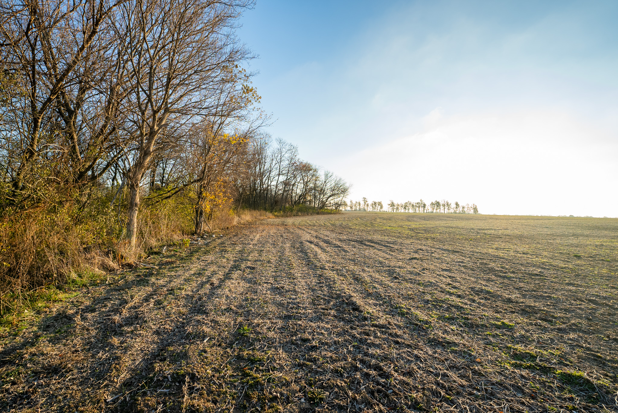 Tract 1. 39 +/- Acres