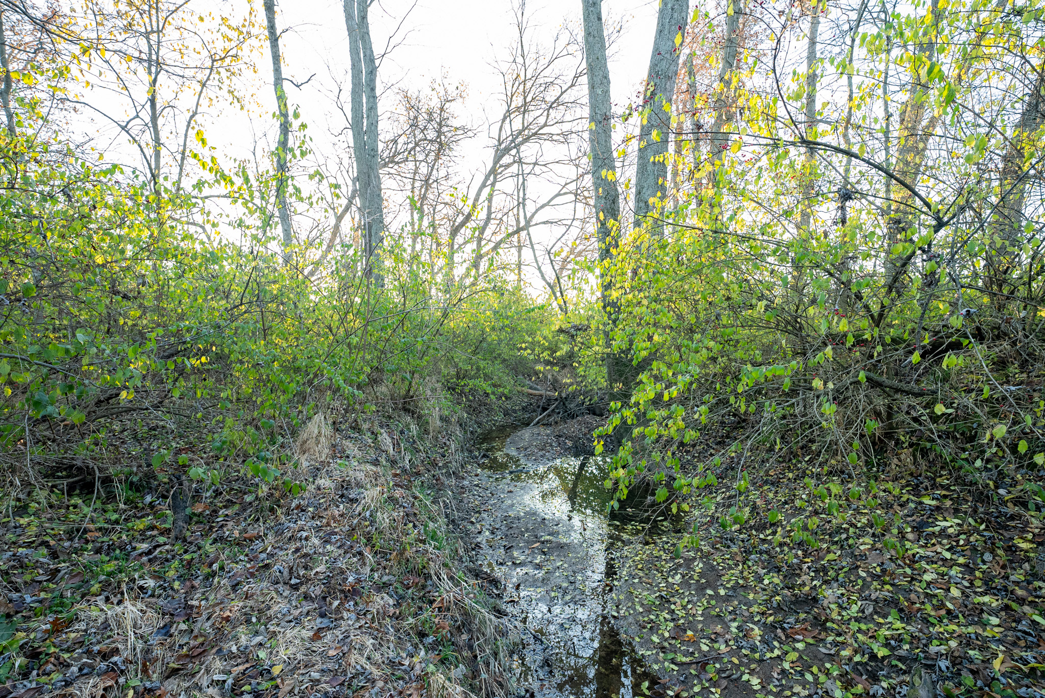 Tract 1. 39 +/- Acres