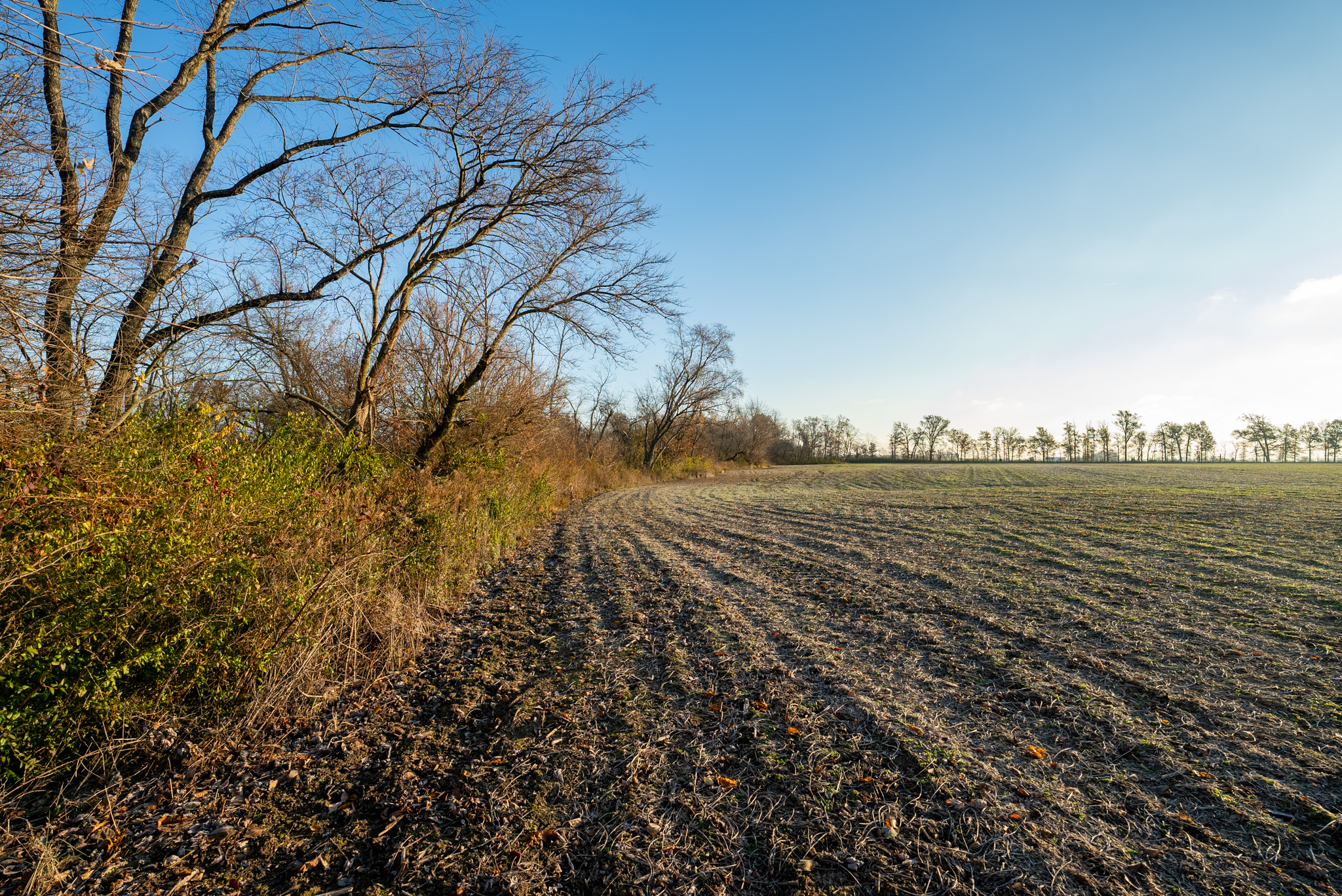 Tract 1. 39 +/- Acres
