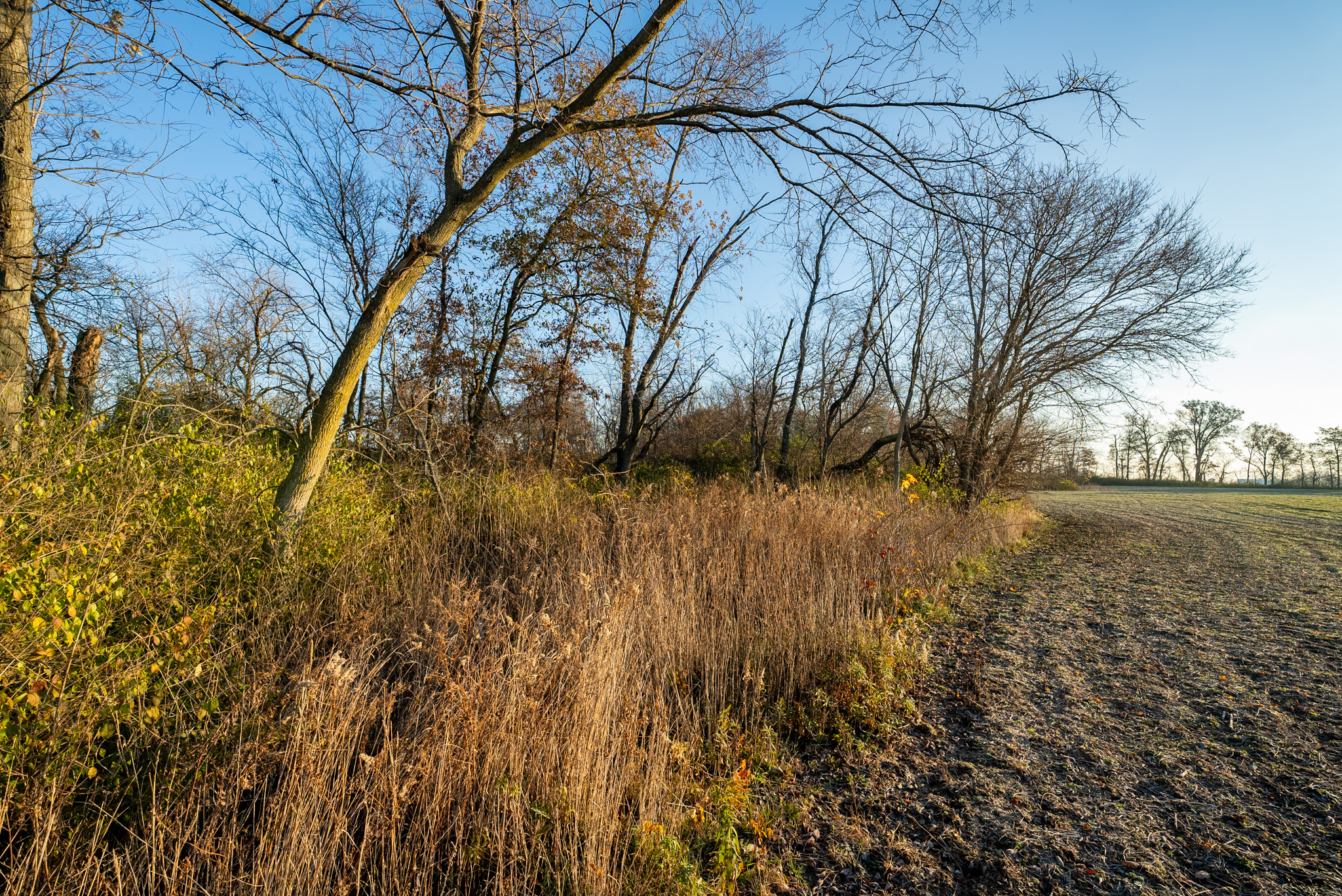Tract 1. 39 +/- Acres