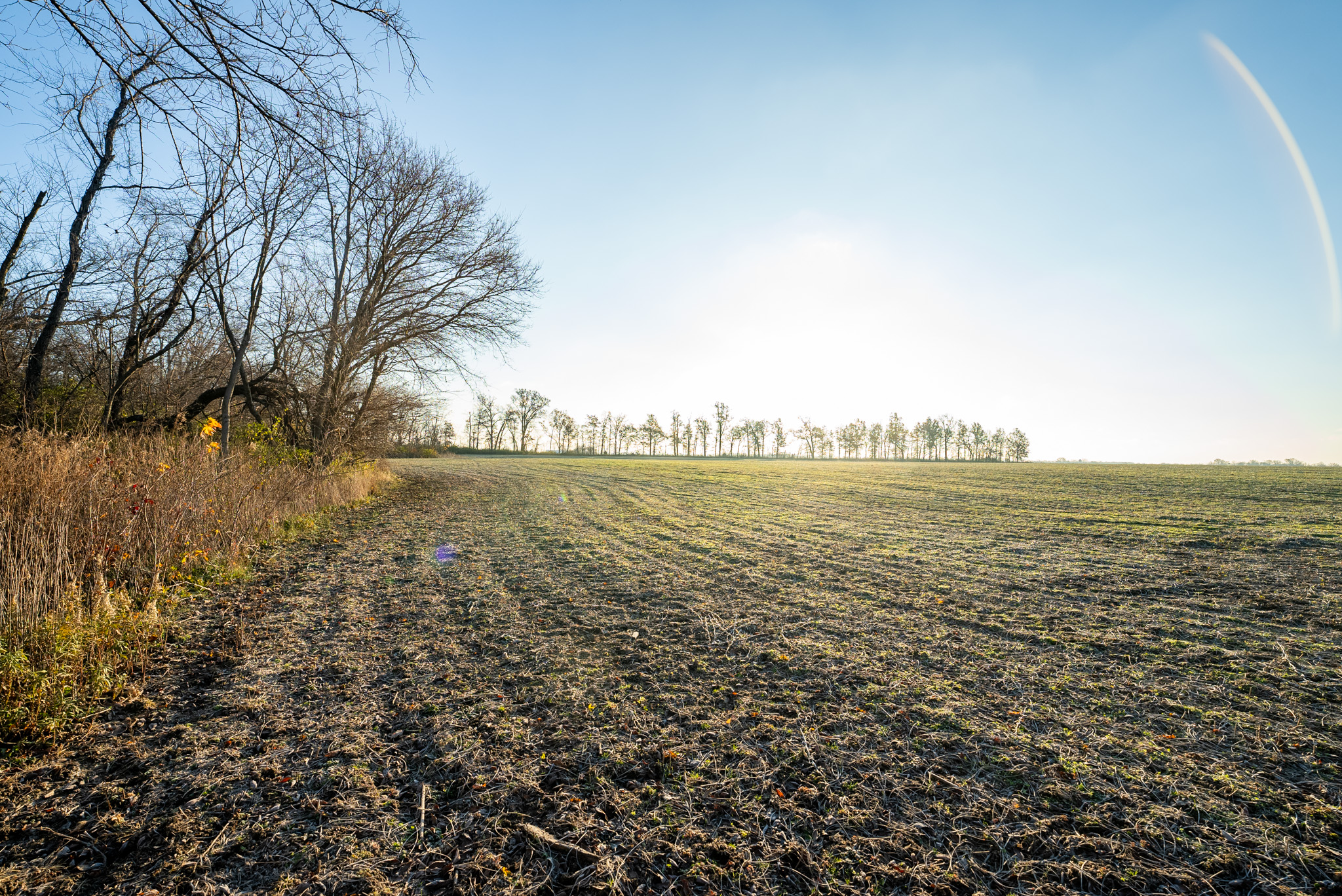 Tract 1. 39 +/- Acres