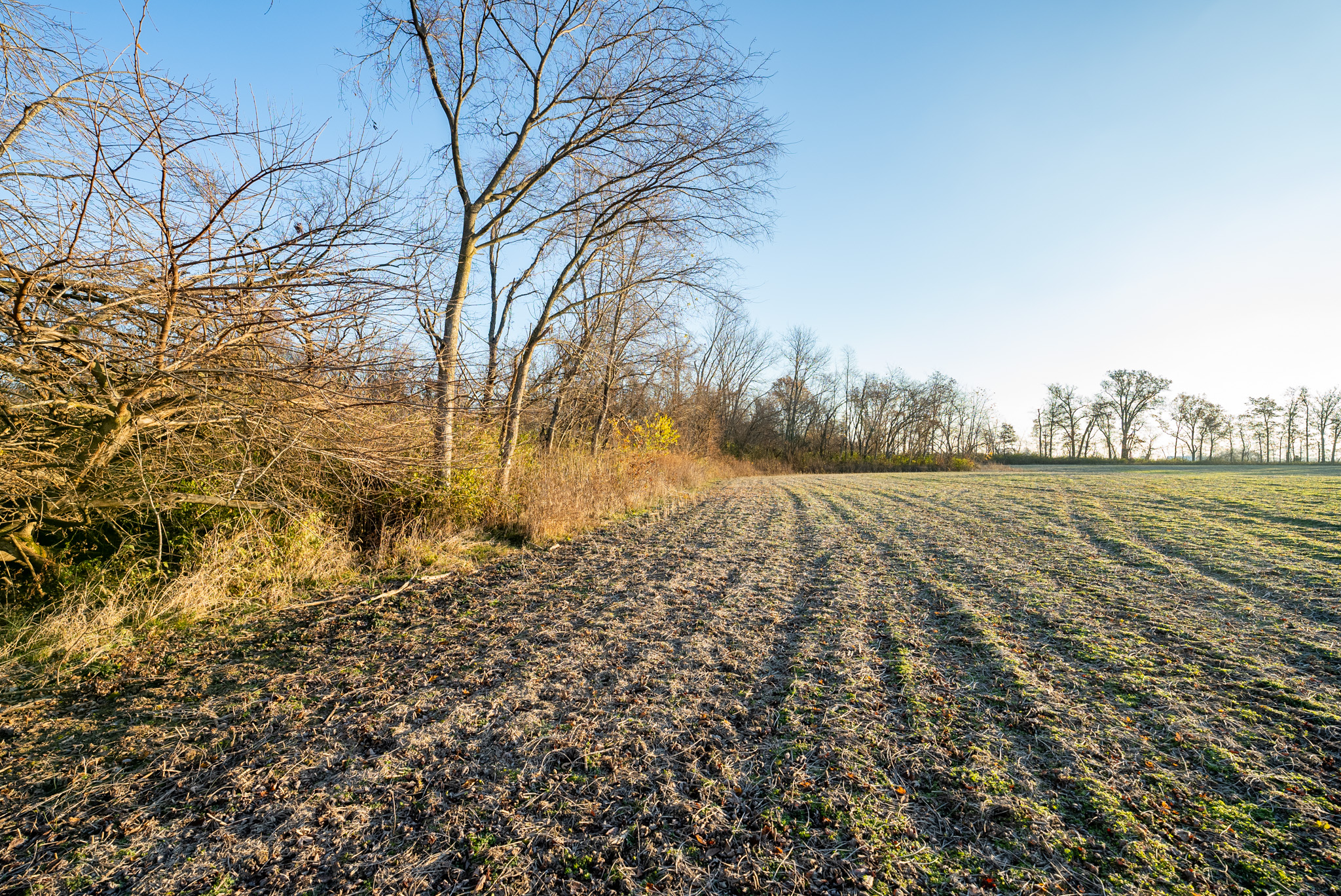 Tract 1. 39 +/- Acres
