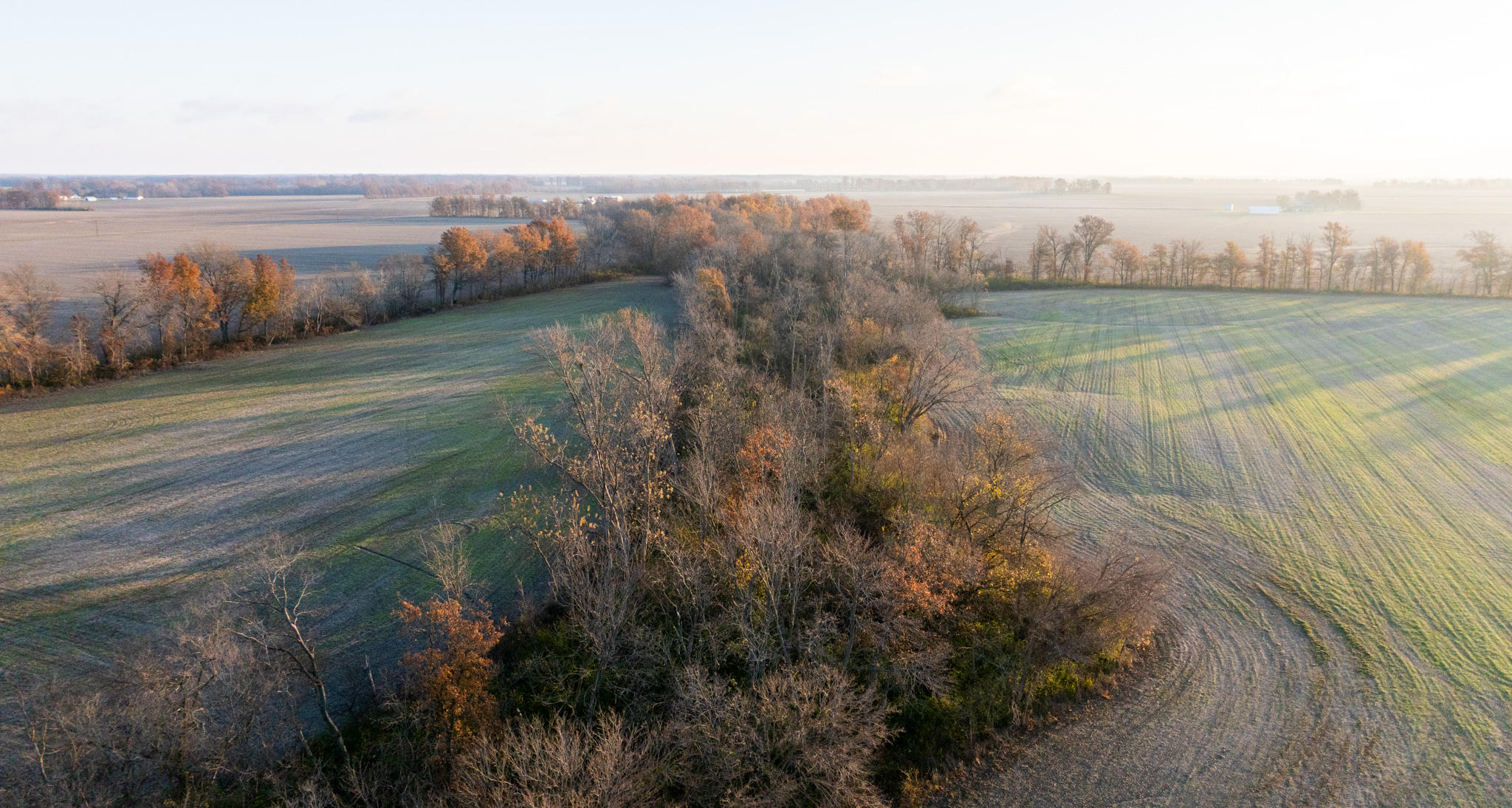 Tract 1. 39 +/- Acres
