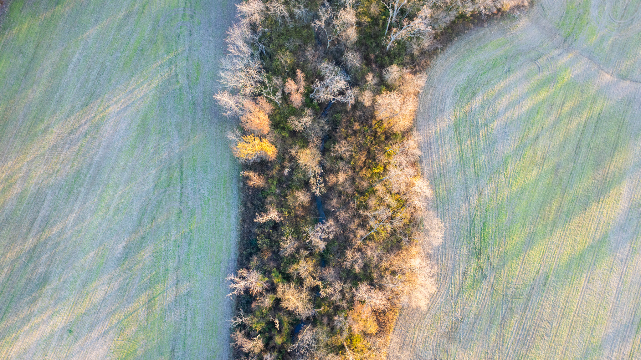 Tract 1. 39 +/- Acres
