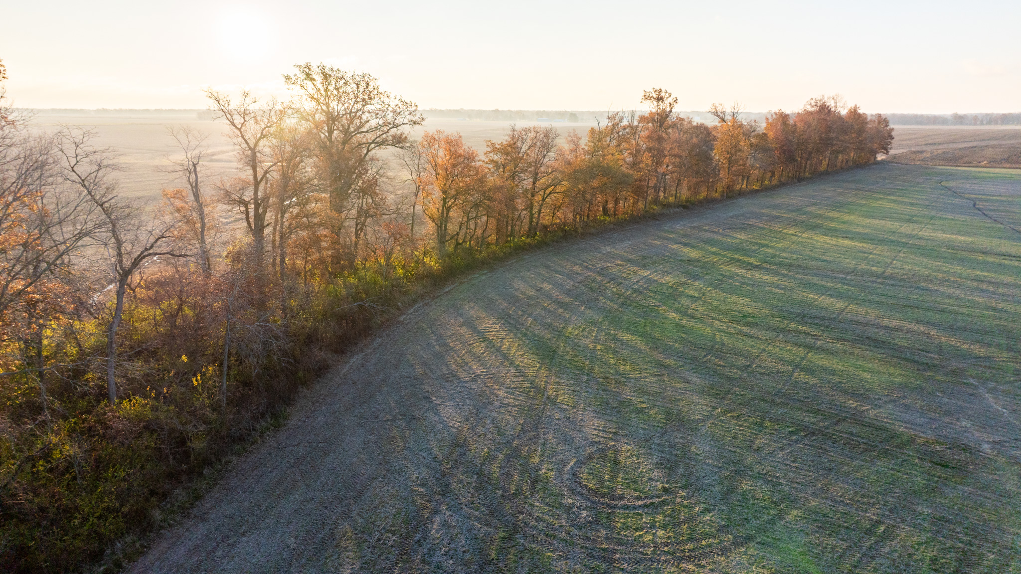 Tract 1. 39 +/- Acres