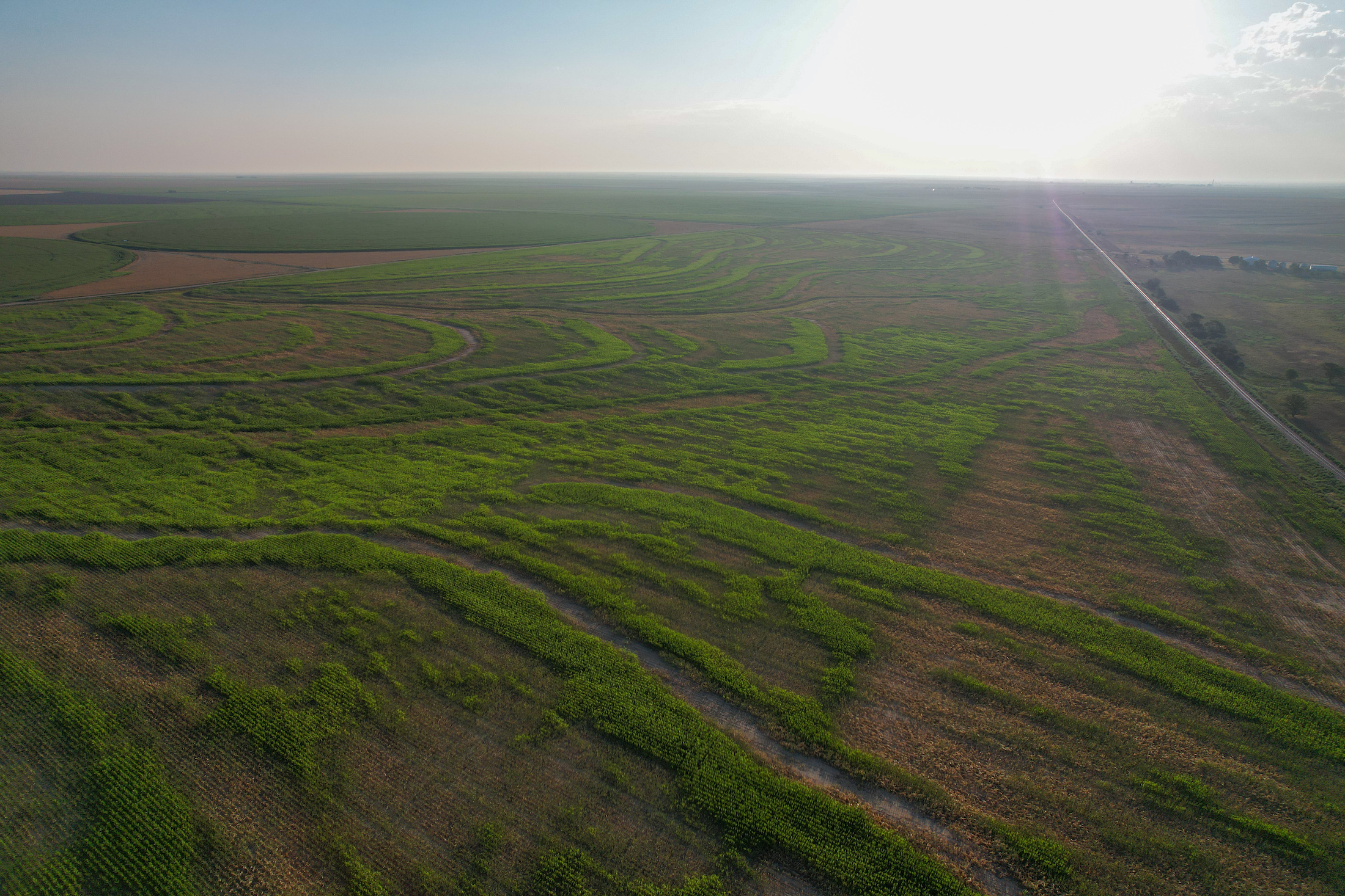 Tract 1. 274.41 +/- Acres