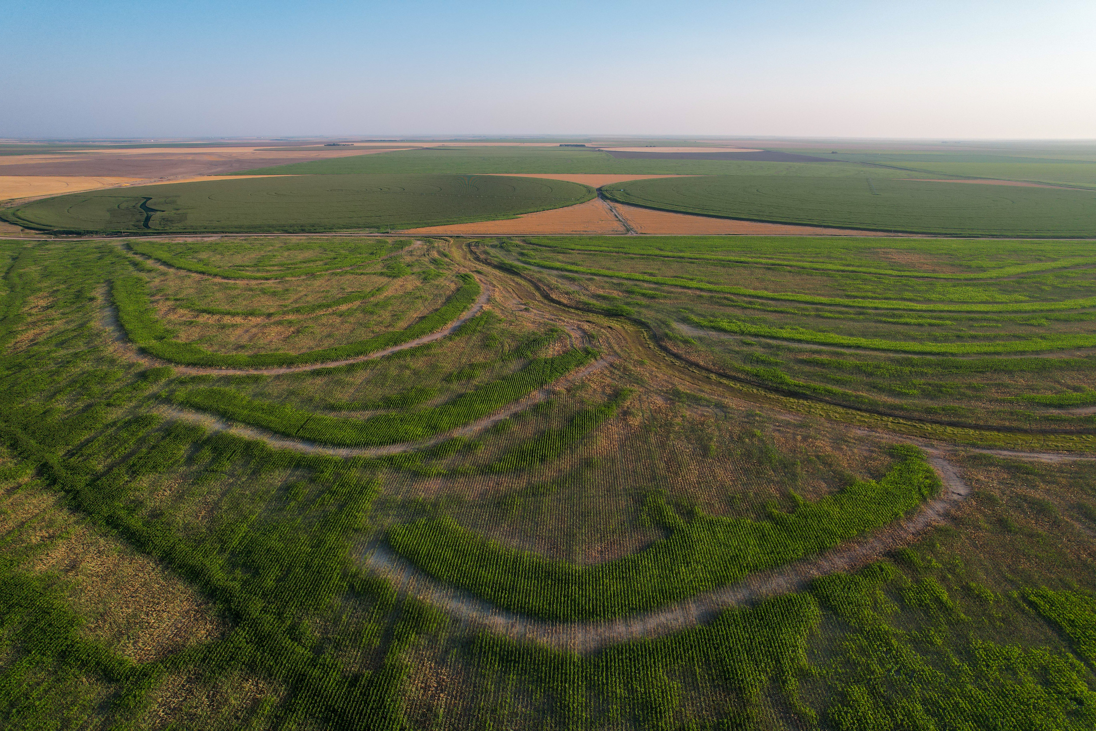 Tract 1. 274.41 +/- Acres