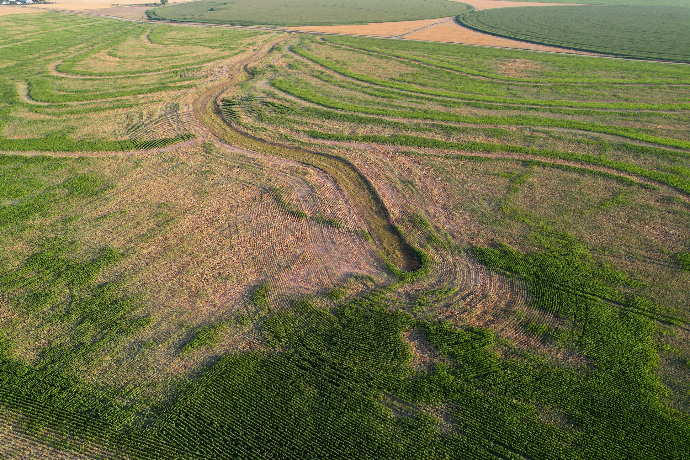 Tract 1. 274.41 +/- Acres