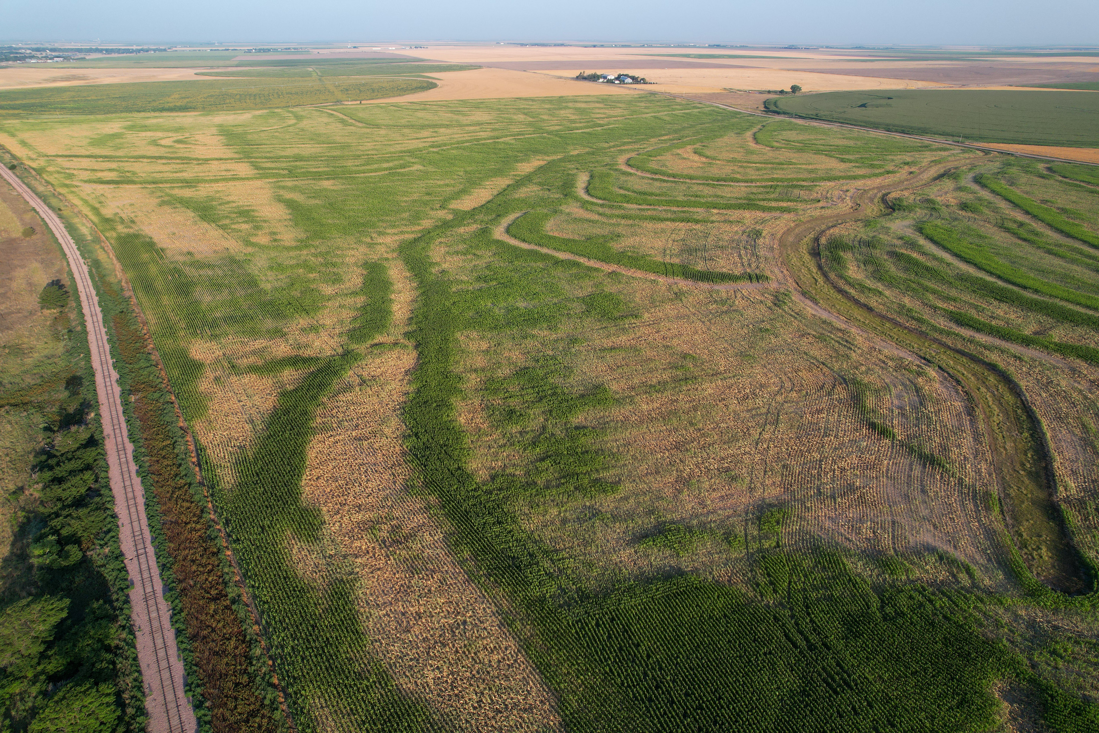 Tract 1. 274.41 +/- Acres