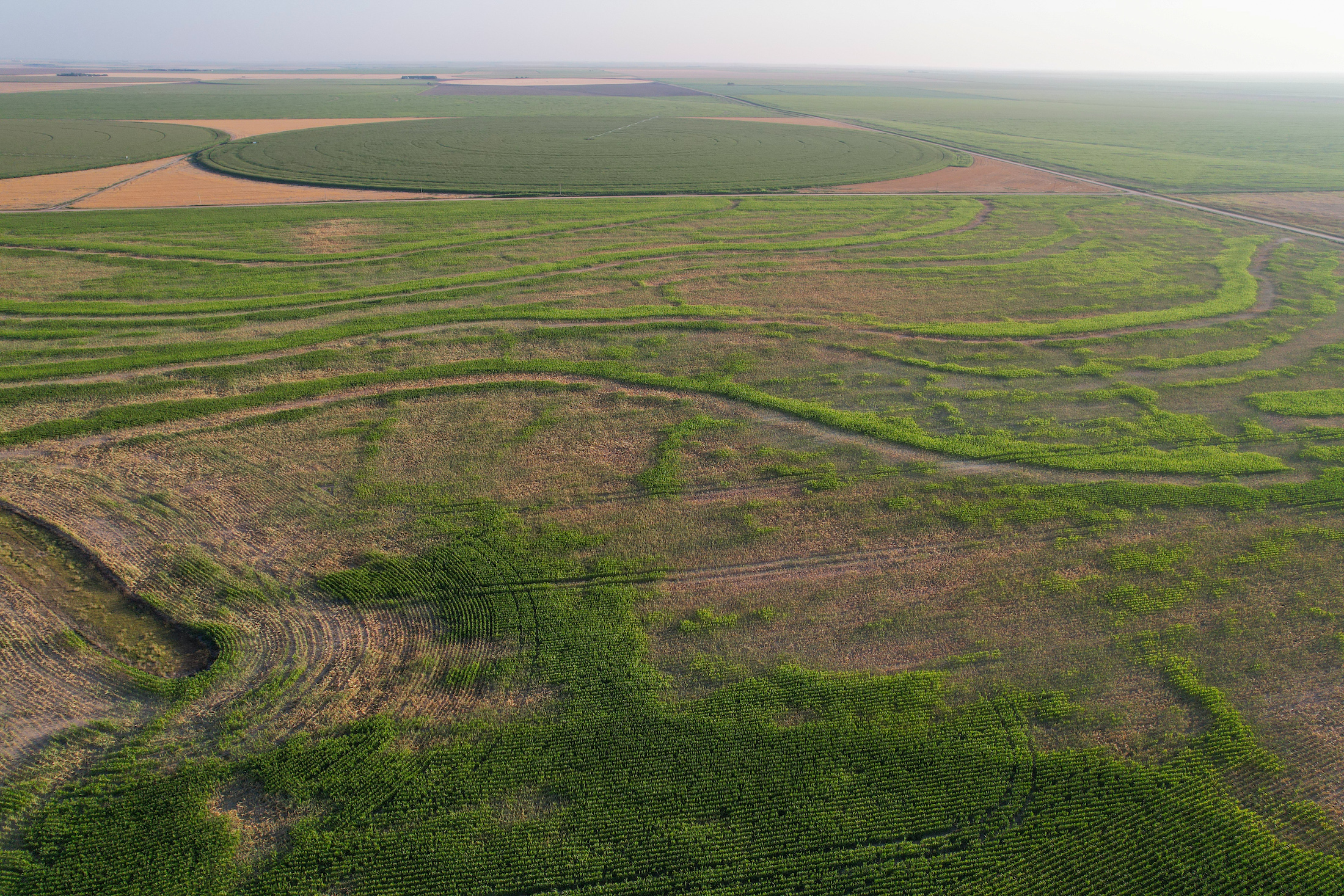Tract 1. 274.41 +/- Acres