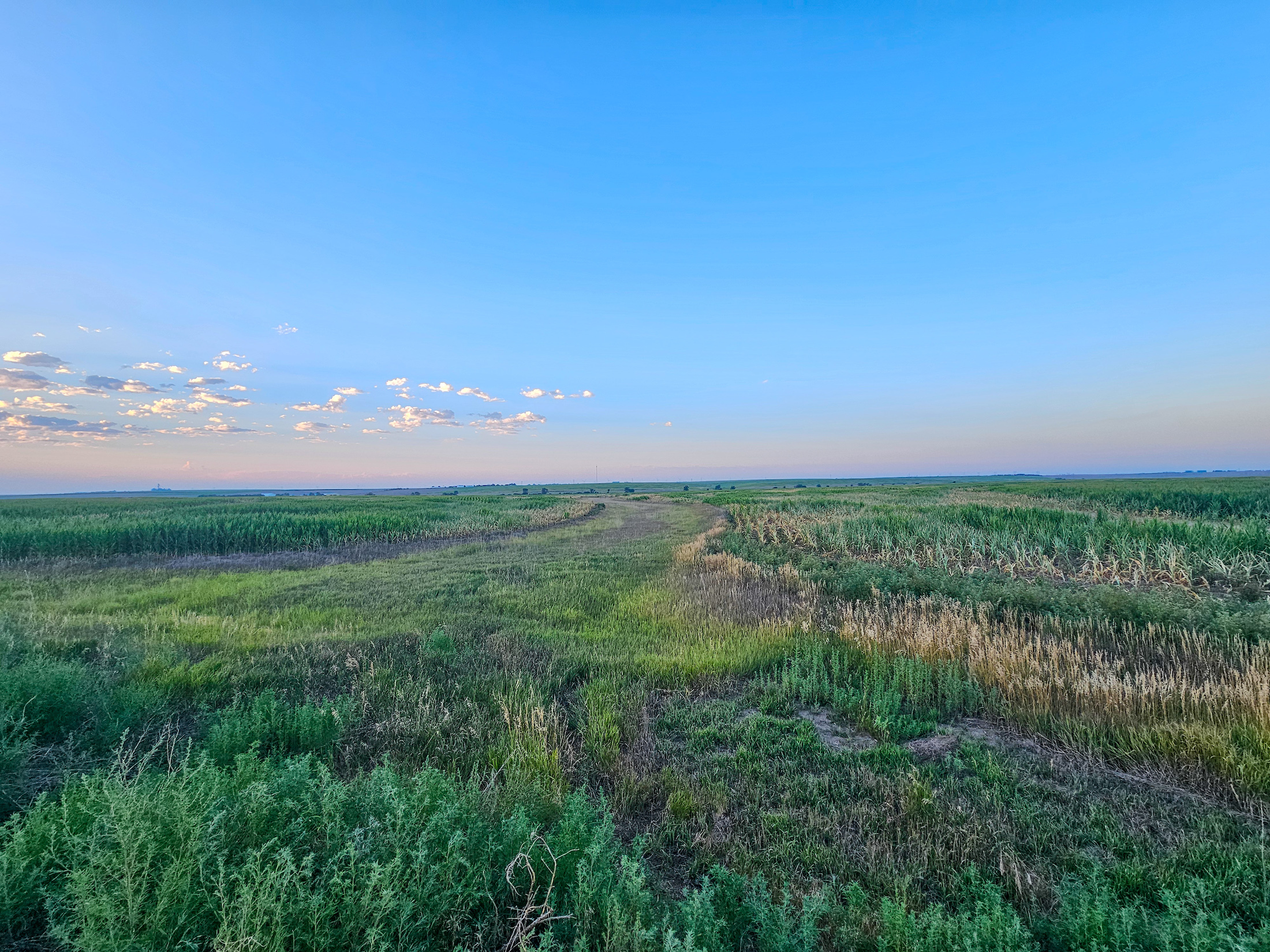 Tract 1. 274.41 +/- Acres