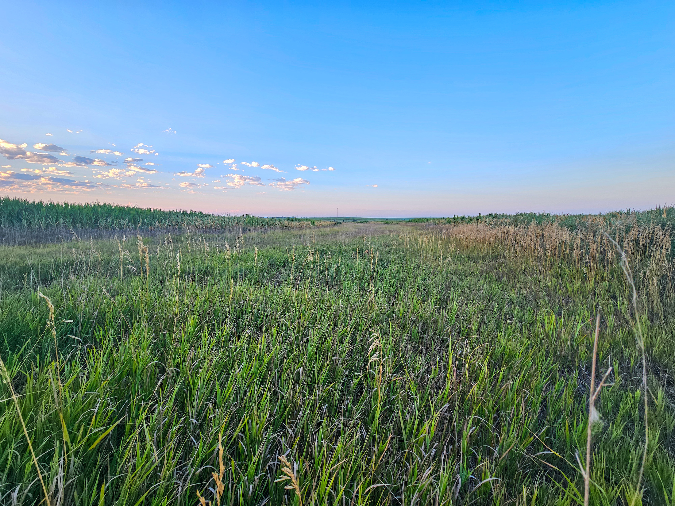 Tract 1. 274.41 +/- Acres