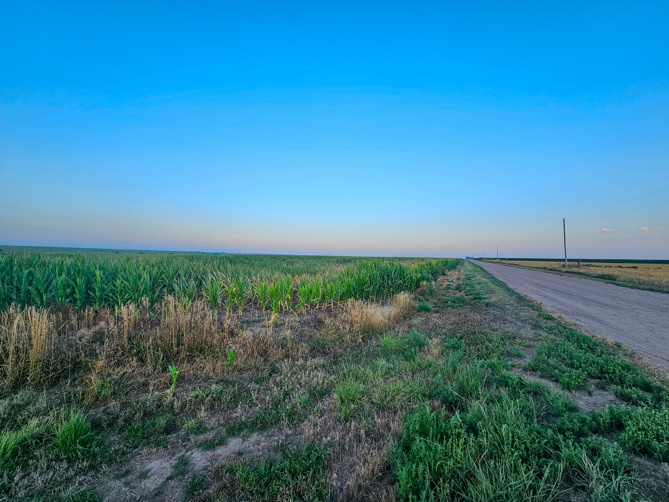 Tract 1. 274.41 +/- Acres
