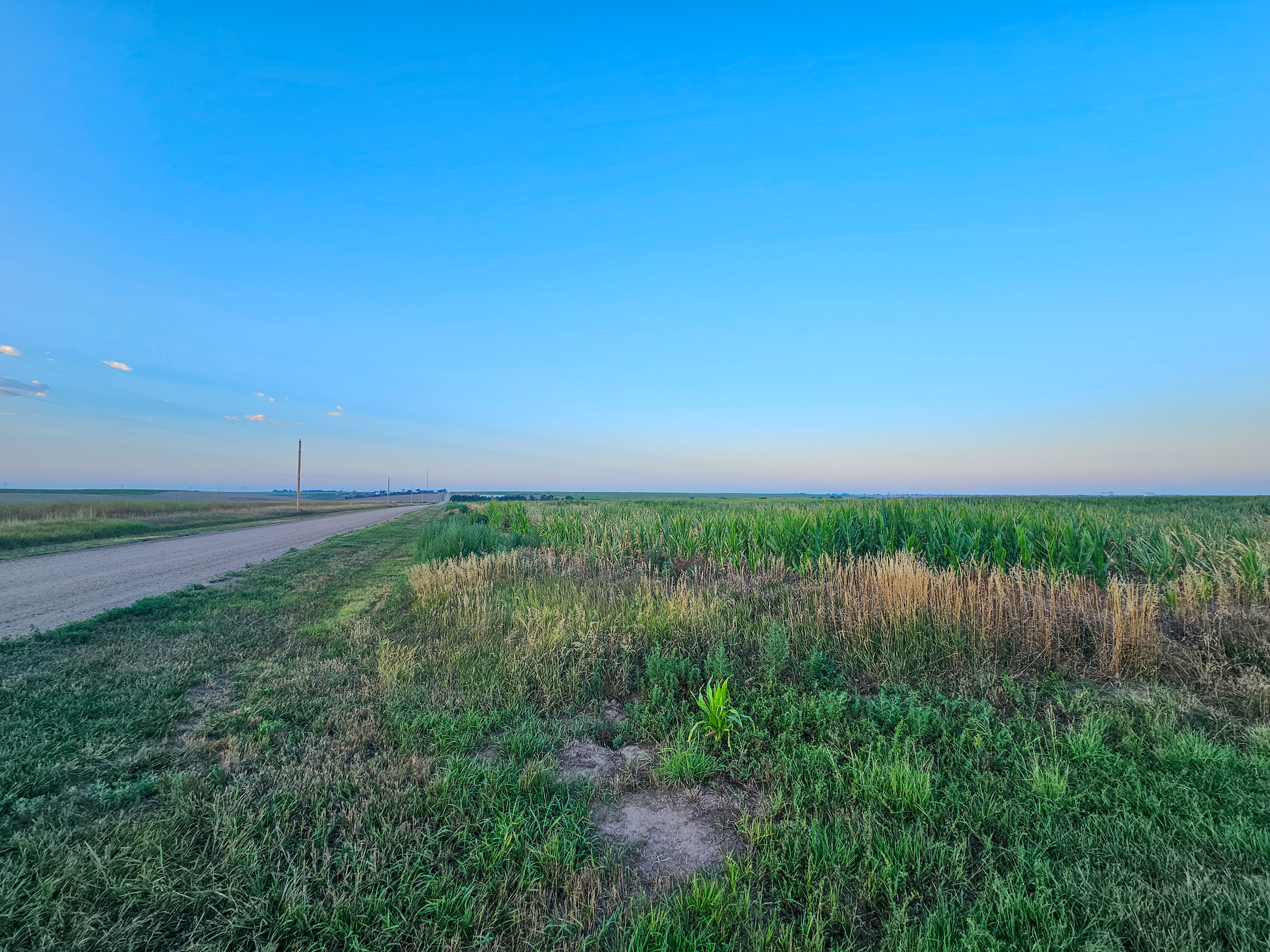 Tract 1. 274.41 +/- Acres