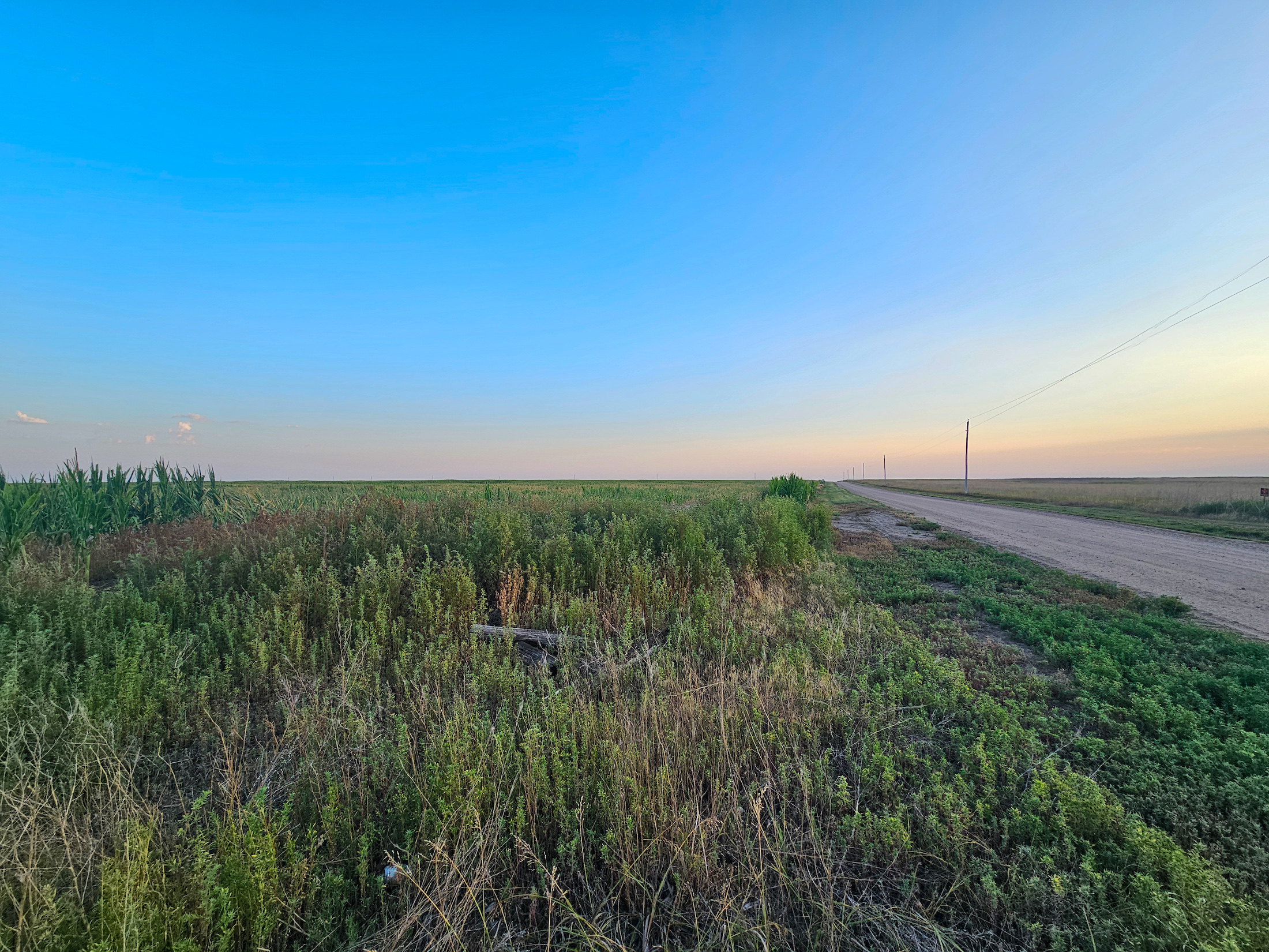 Tract 1. 274.41 +/- Acres