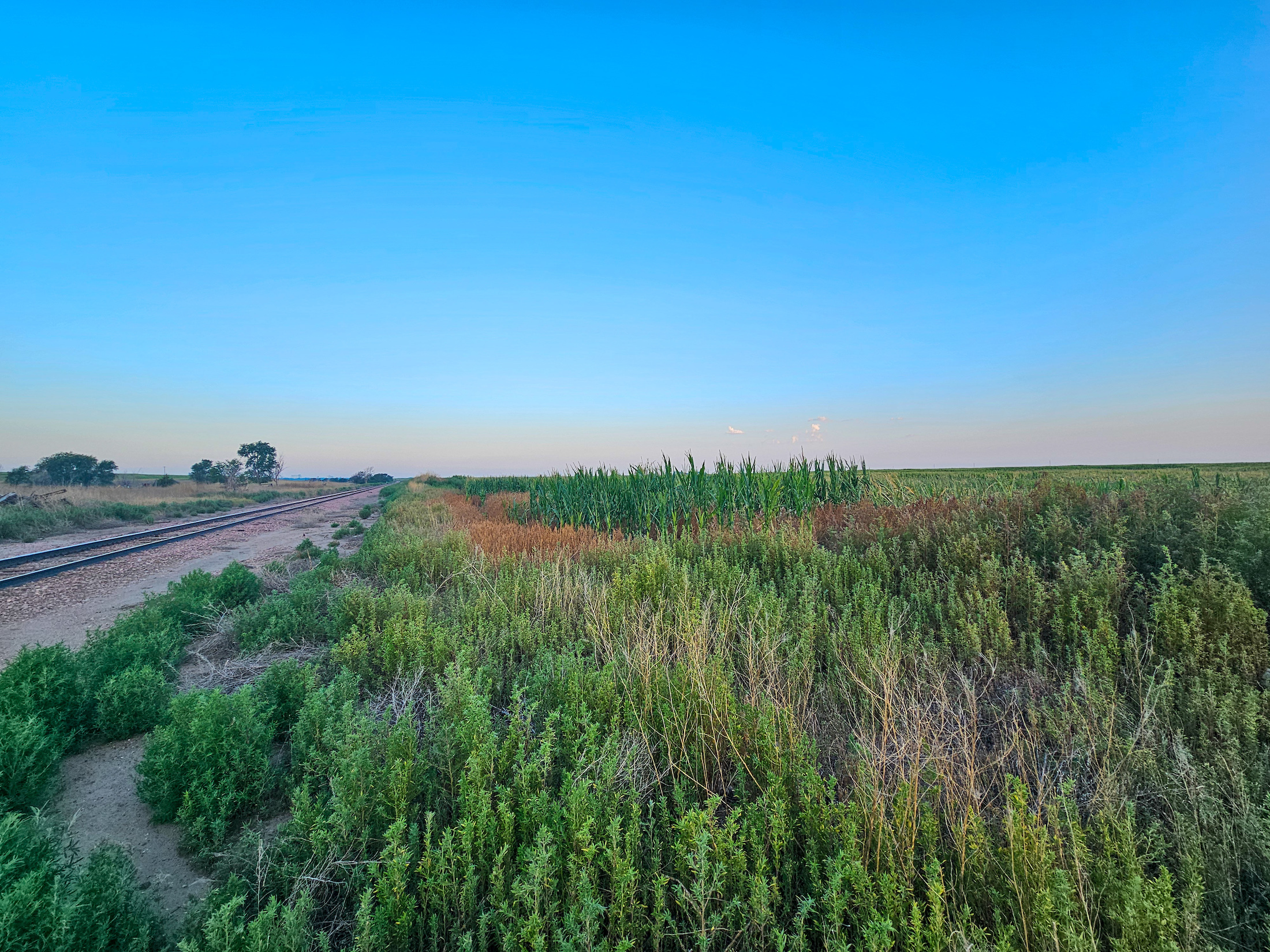 Tract 1. 274.41 +/- Acres