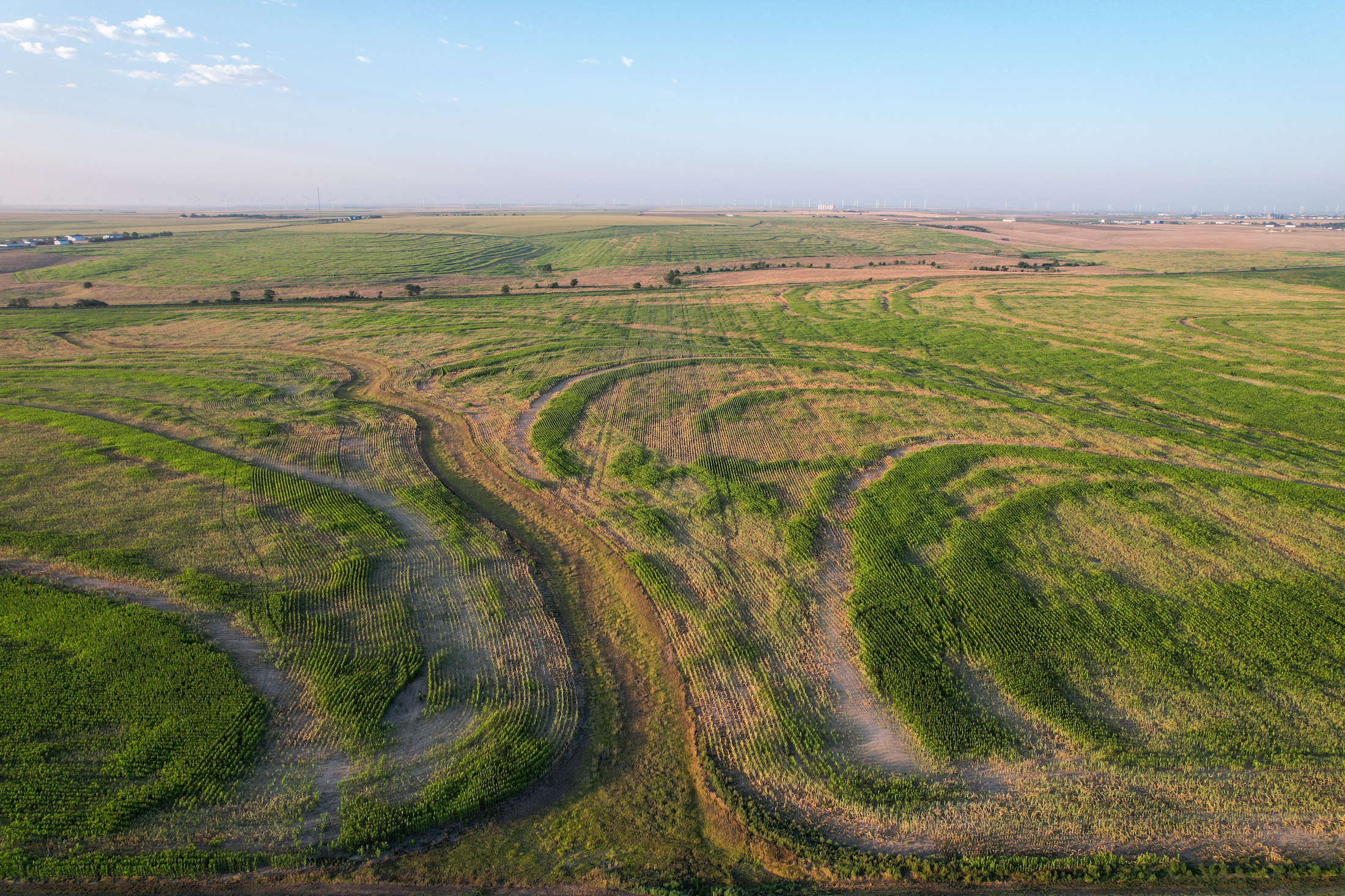 Tract 1. 274.41 +/- Acres