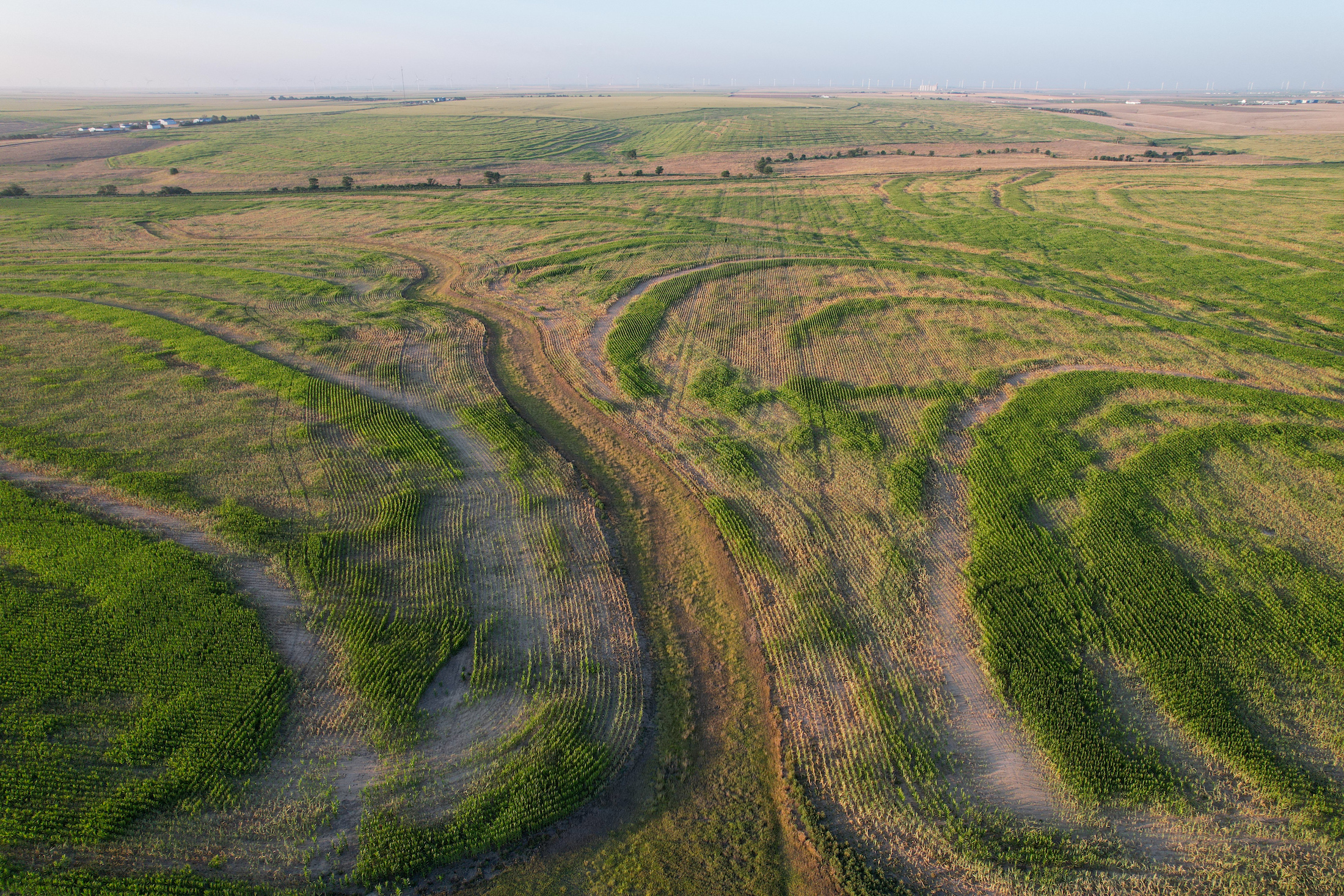 Tract 1. 274.41 +/- Acres