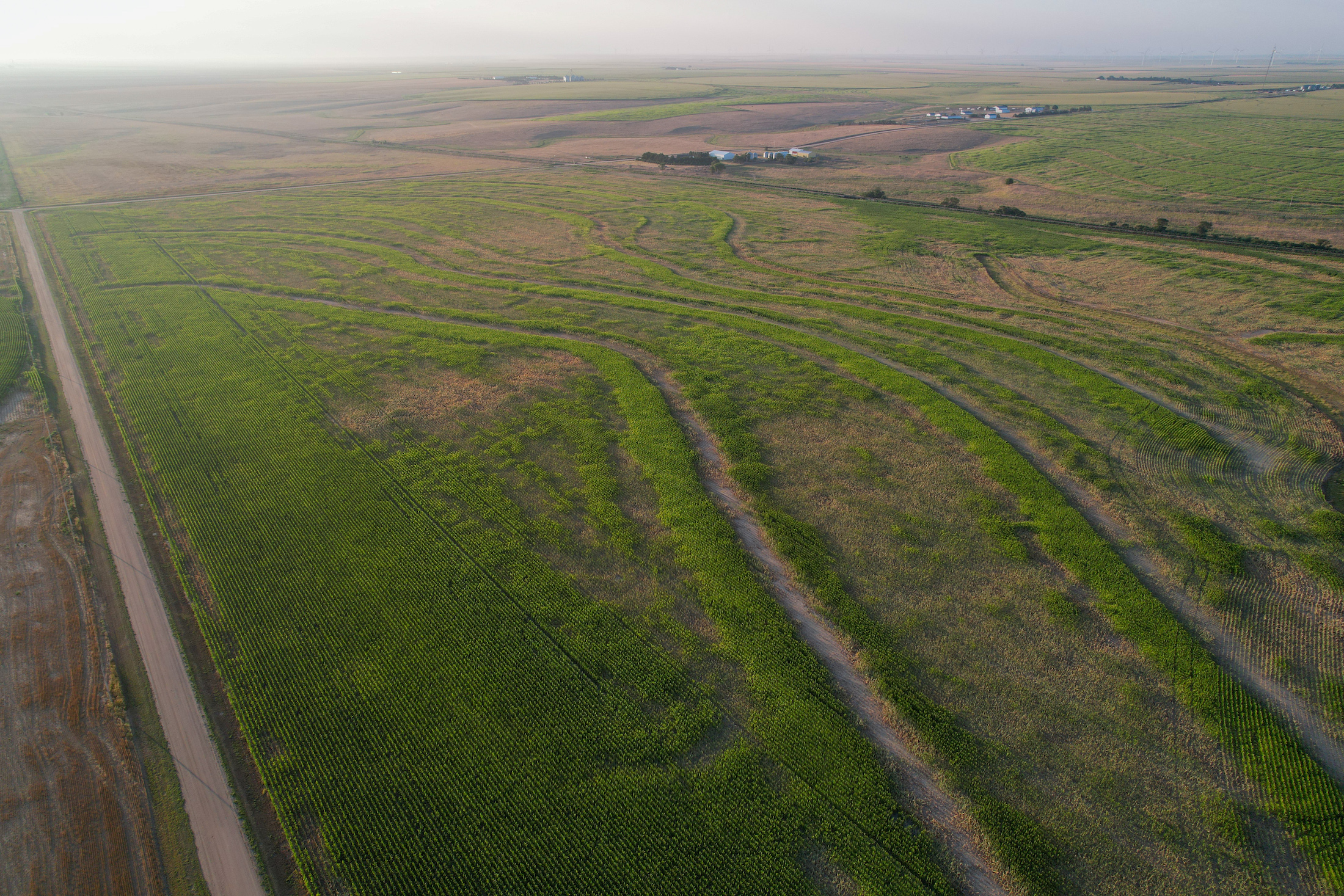 Tract 1. 274.41 +/- Acres