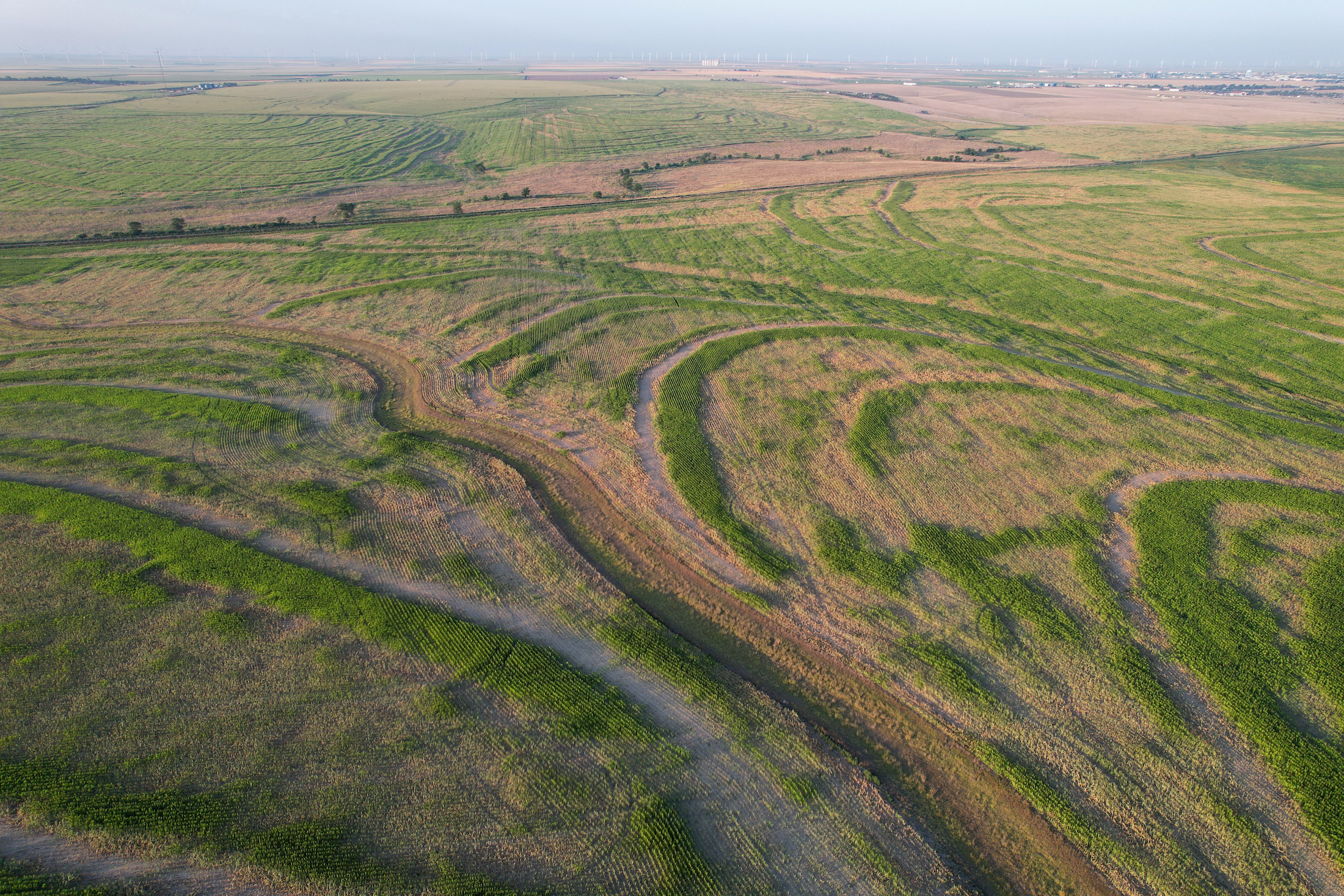 Tract 1. 274.41 +/- Acres