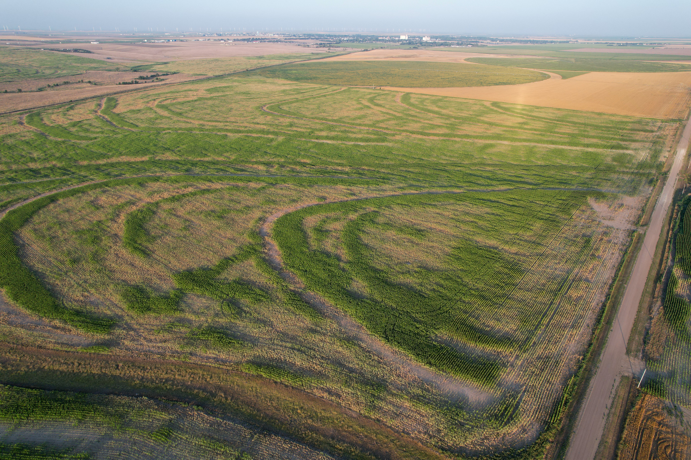 Tract 1. 274.41 +/- Acres