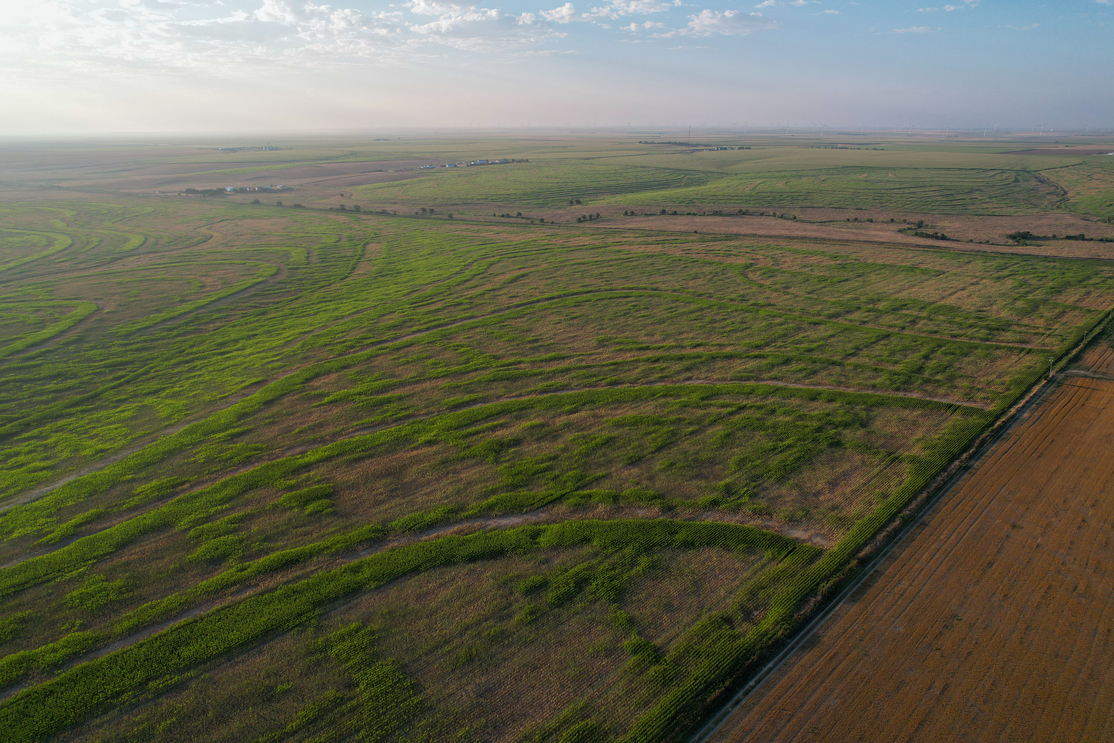 Tract 1. 274.41 +/- Acres