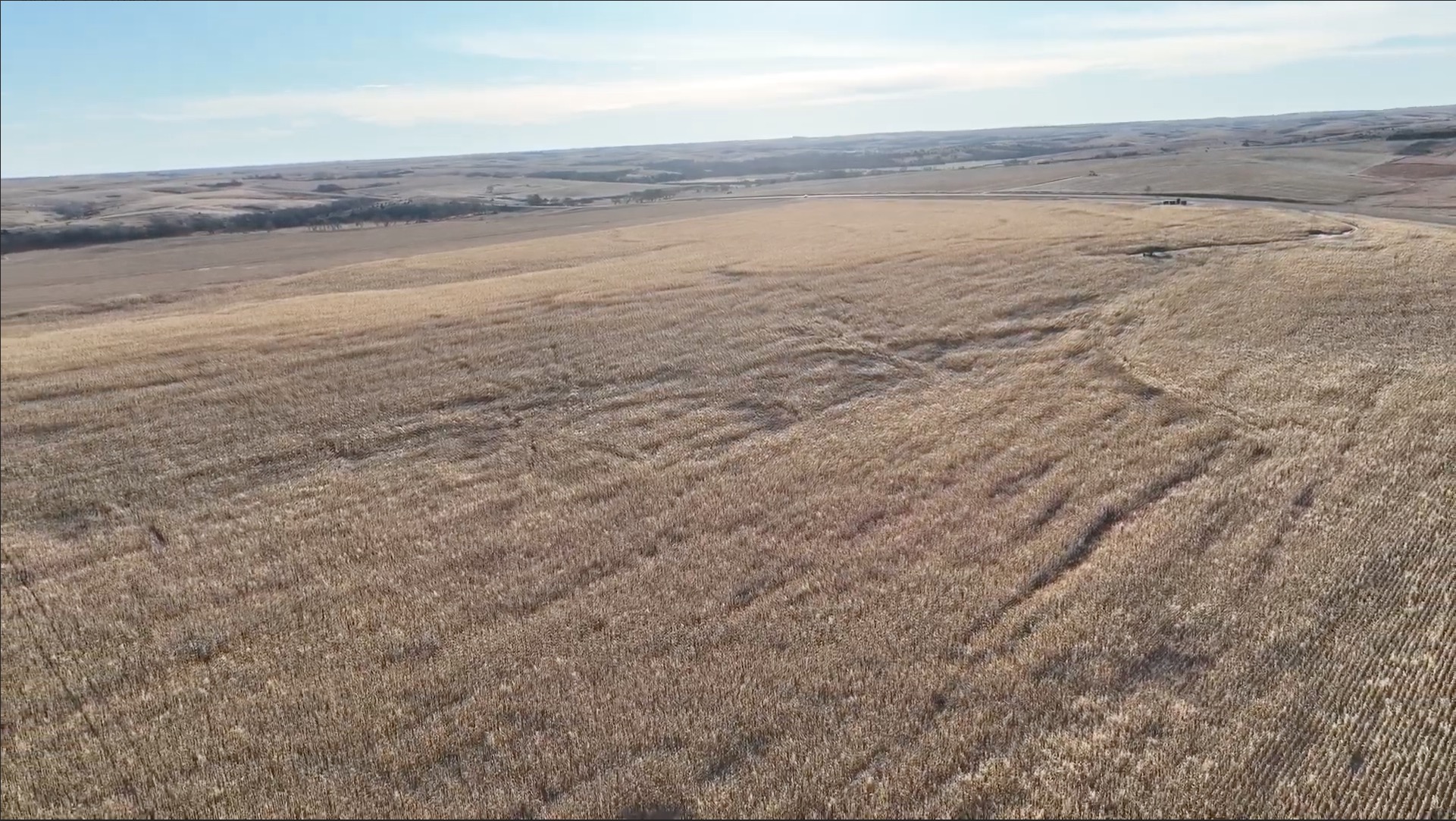 Tract 1. 148.04 +/- Acres in Phillips Co KS