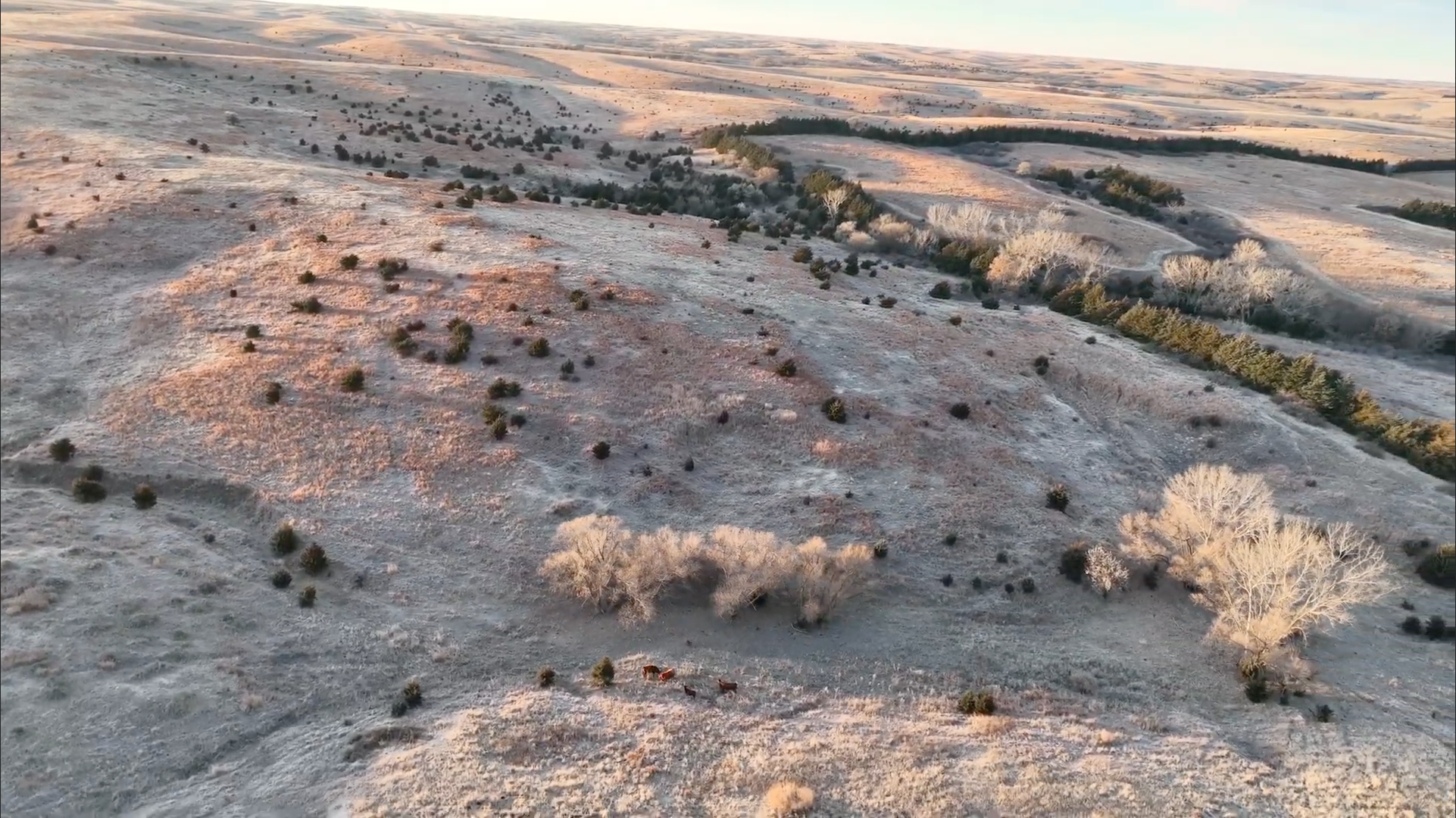 Tract 3. 641.4 +/- Acres in KS & 497.14 +/- Acres in NE