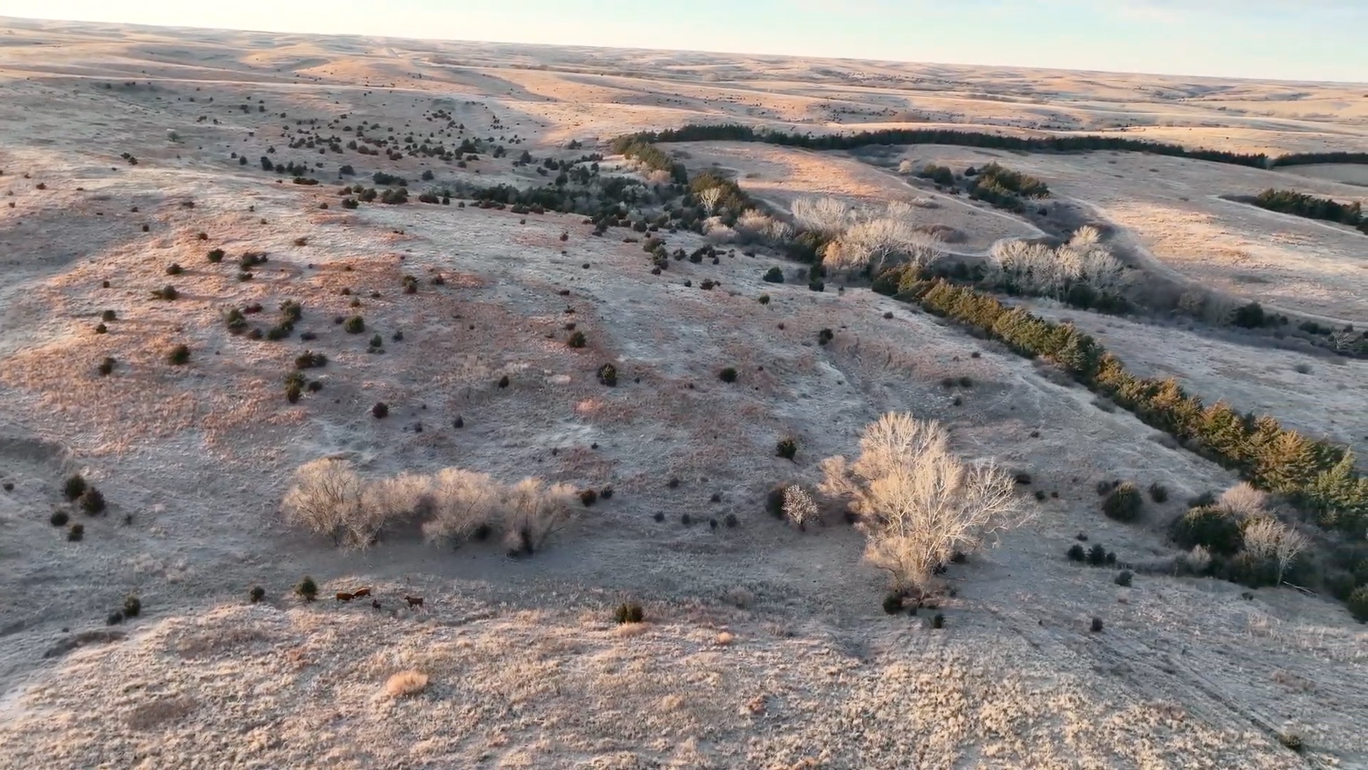 Tract 3. 641.4 +/- Acres in KS & 497.14 +/- Acres in NE