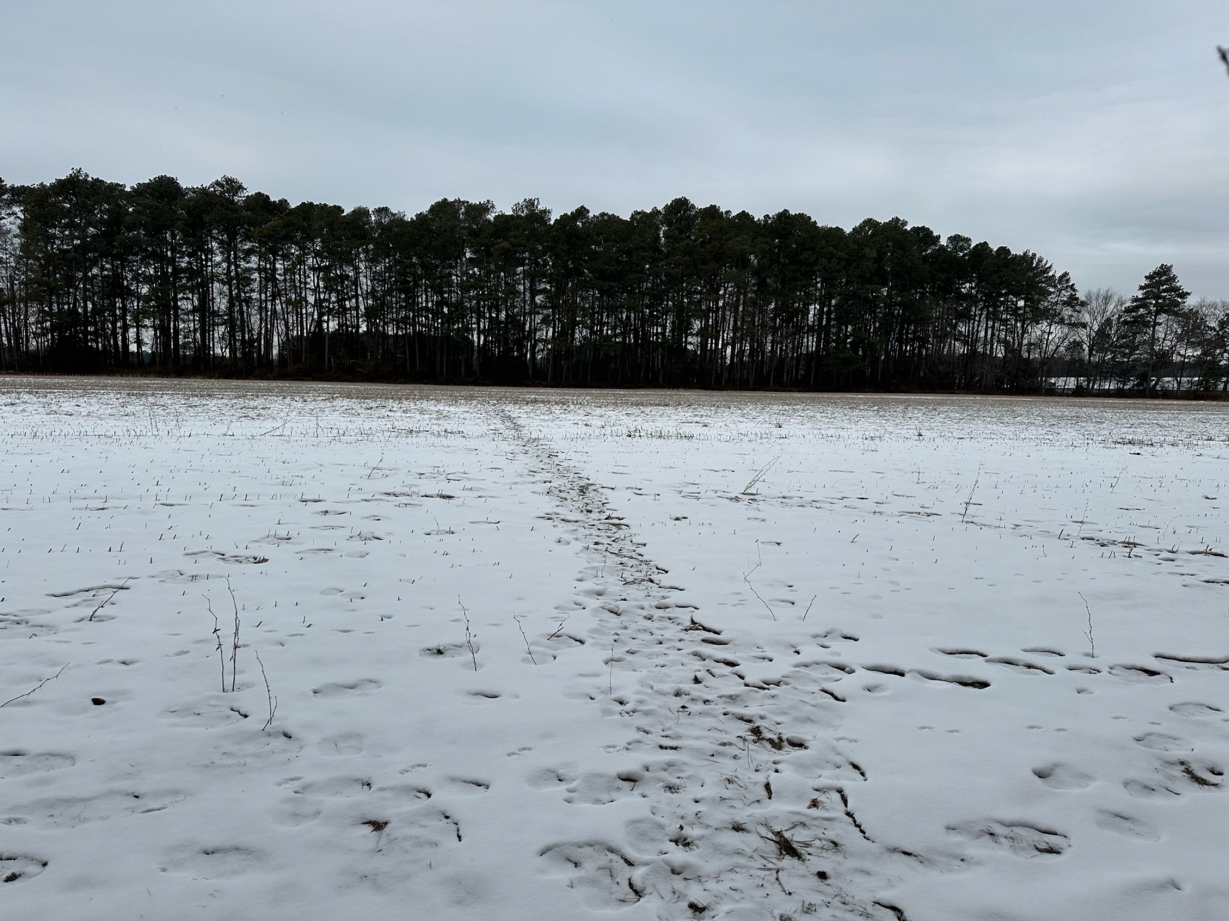 Tract 1 of 2