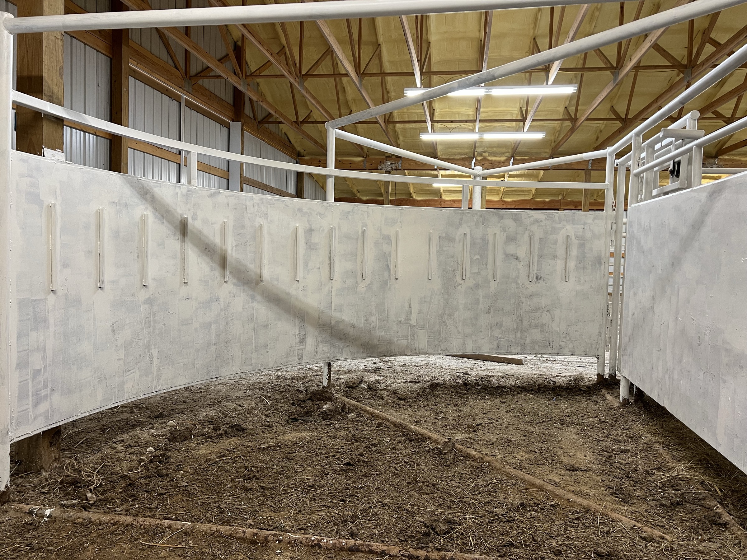 Tract 2 of 7: 31± acres