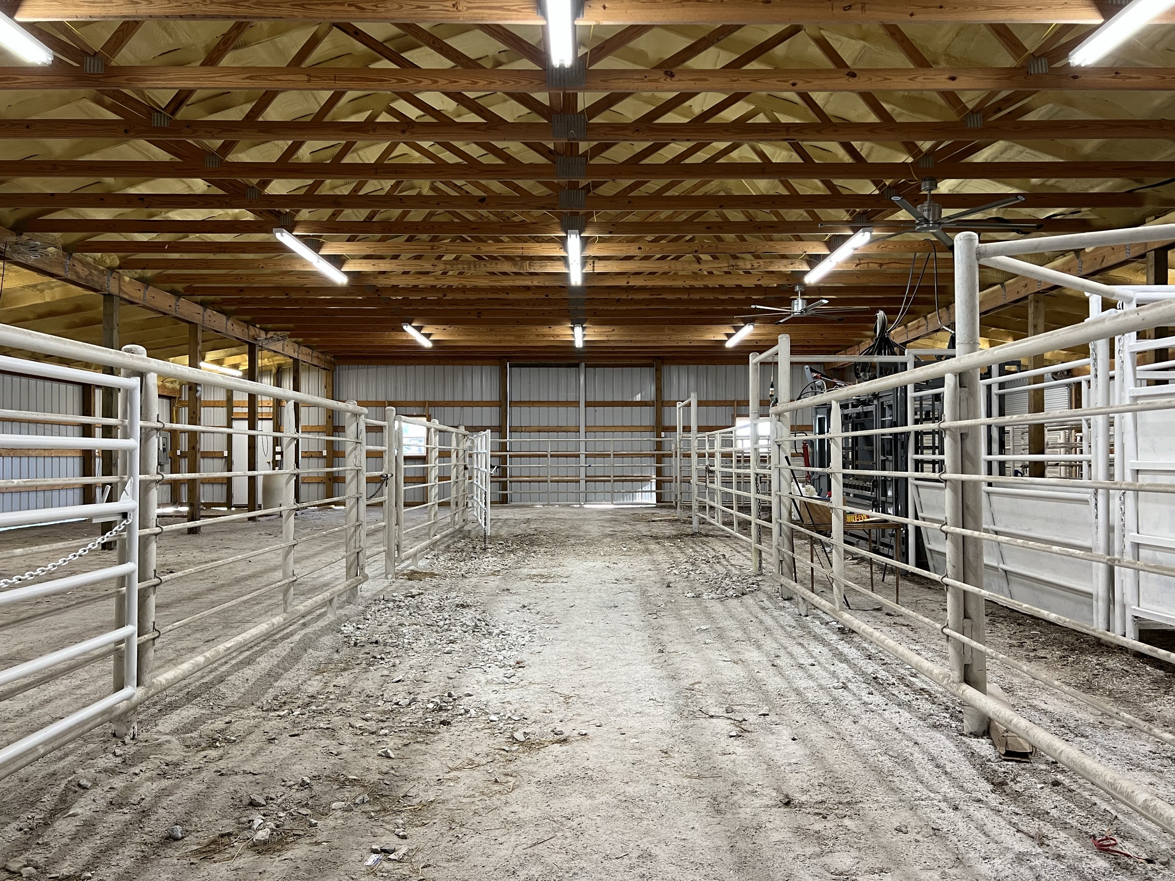 Tract 2 of 7: 31± acres