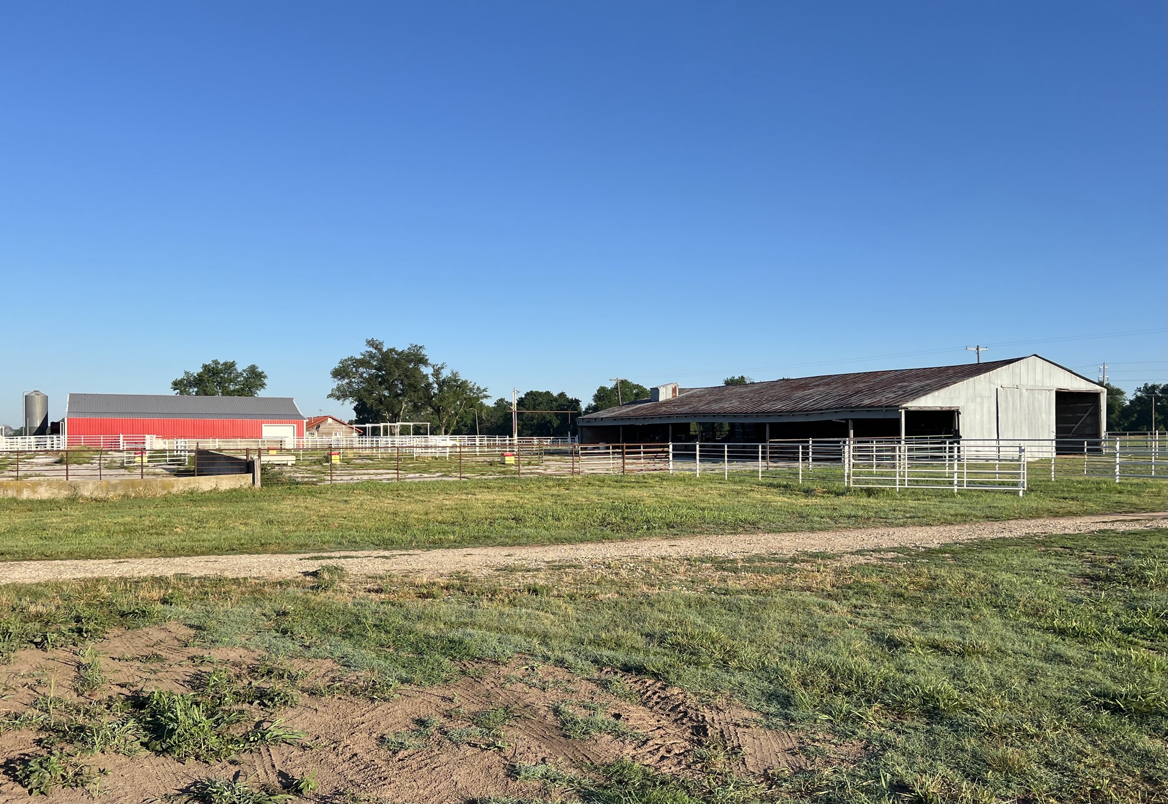 Tract 2 of 7: 31± acres
