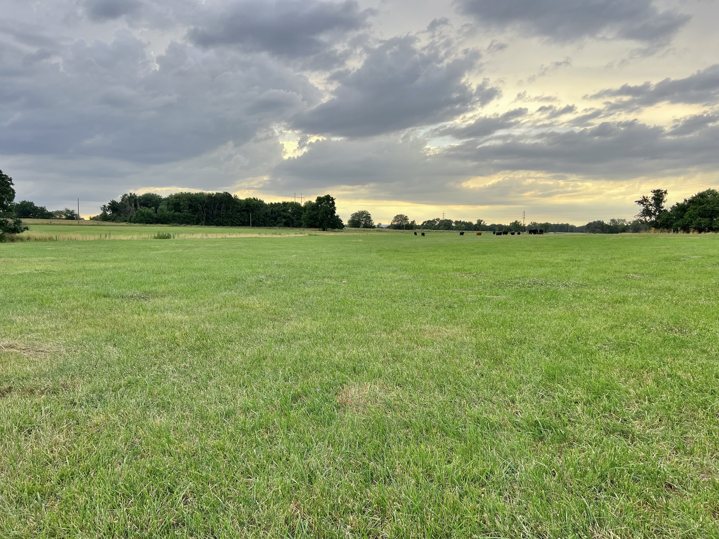 Tract 4 of 7: 15± acres