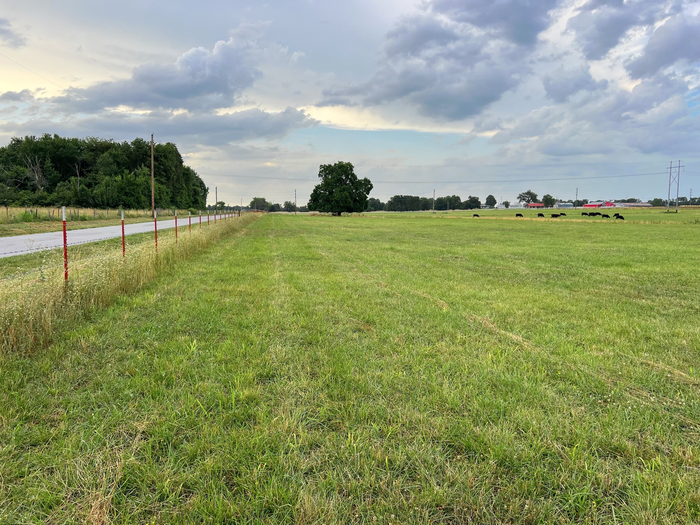 Tract 4 of 7: 15± acres