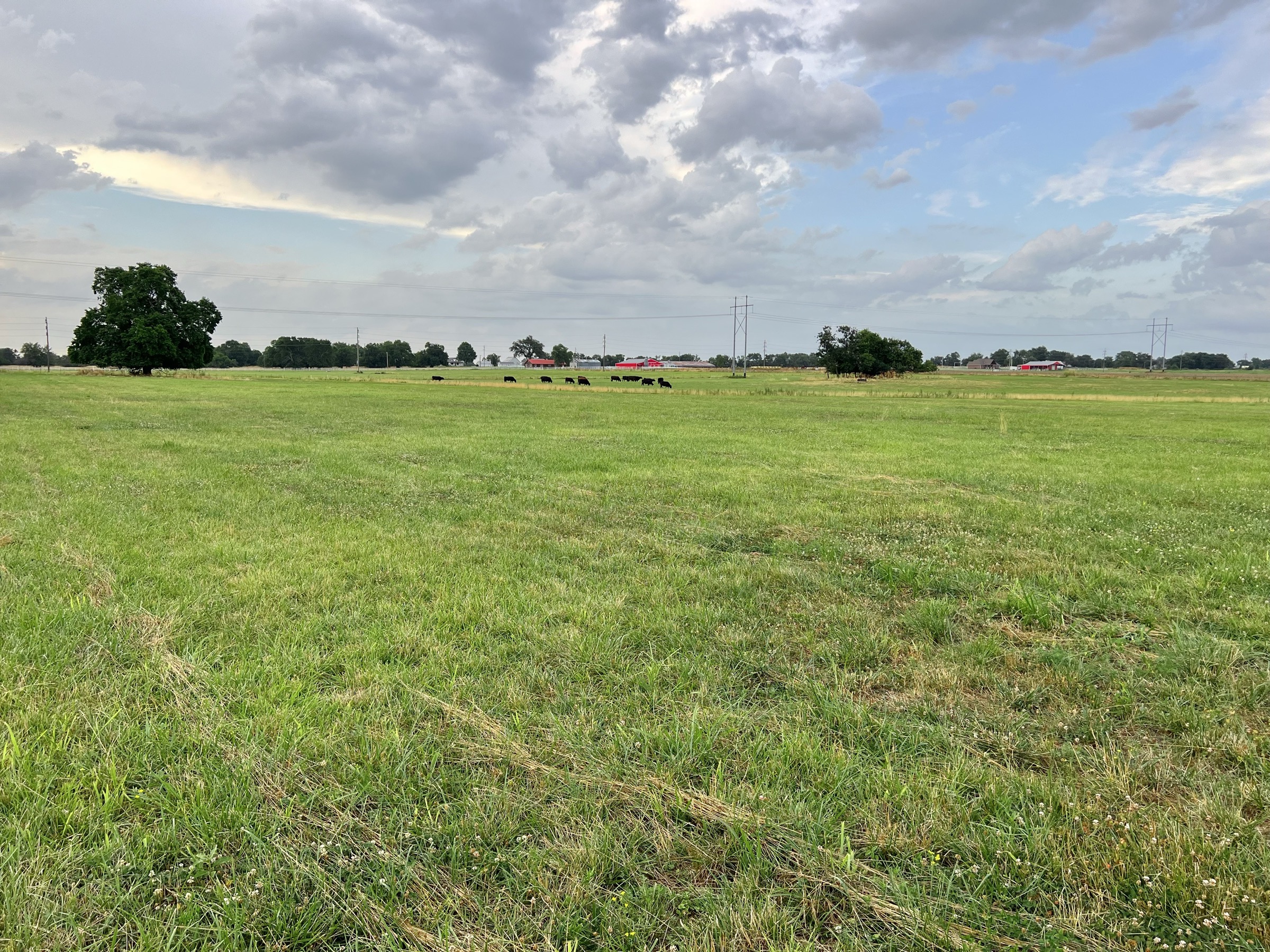 Tract 4 of 7: 15± acres