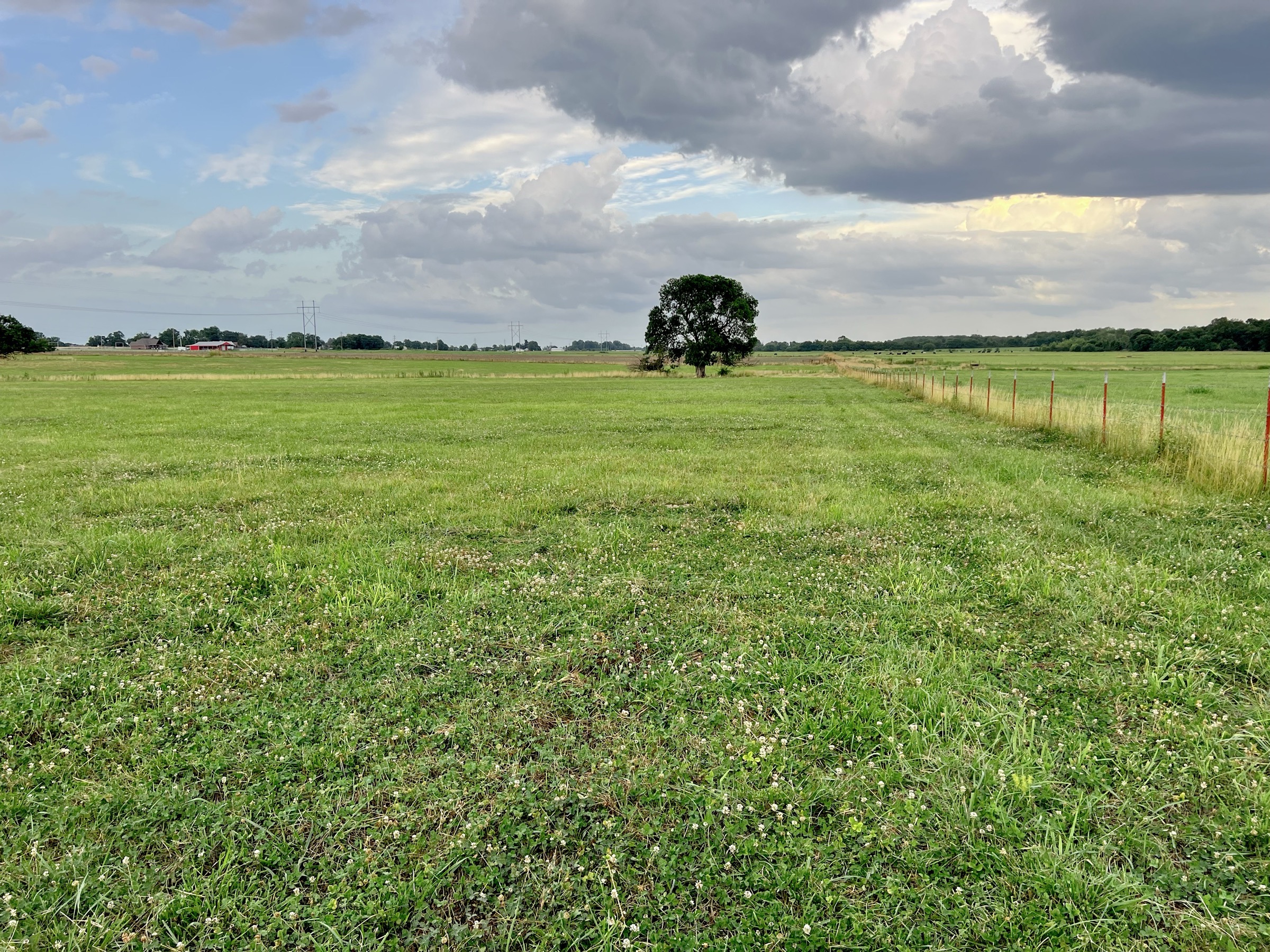 Tract 4 of 7: 15± acres
