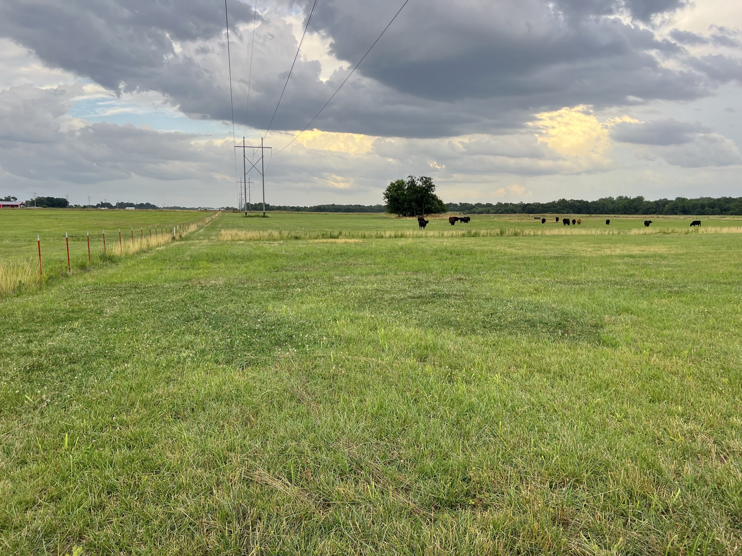 Tract 4 of 7: 15± acres