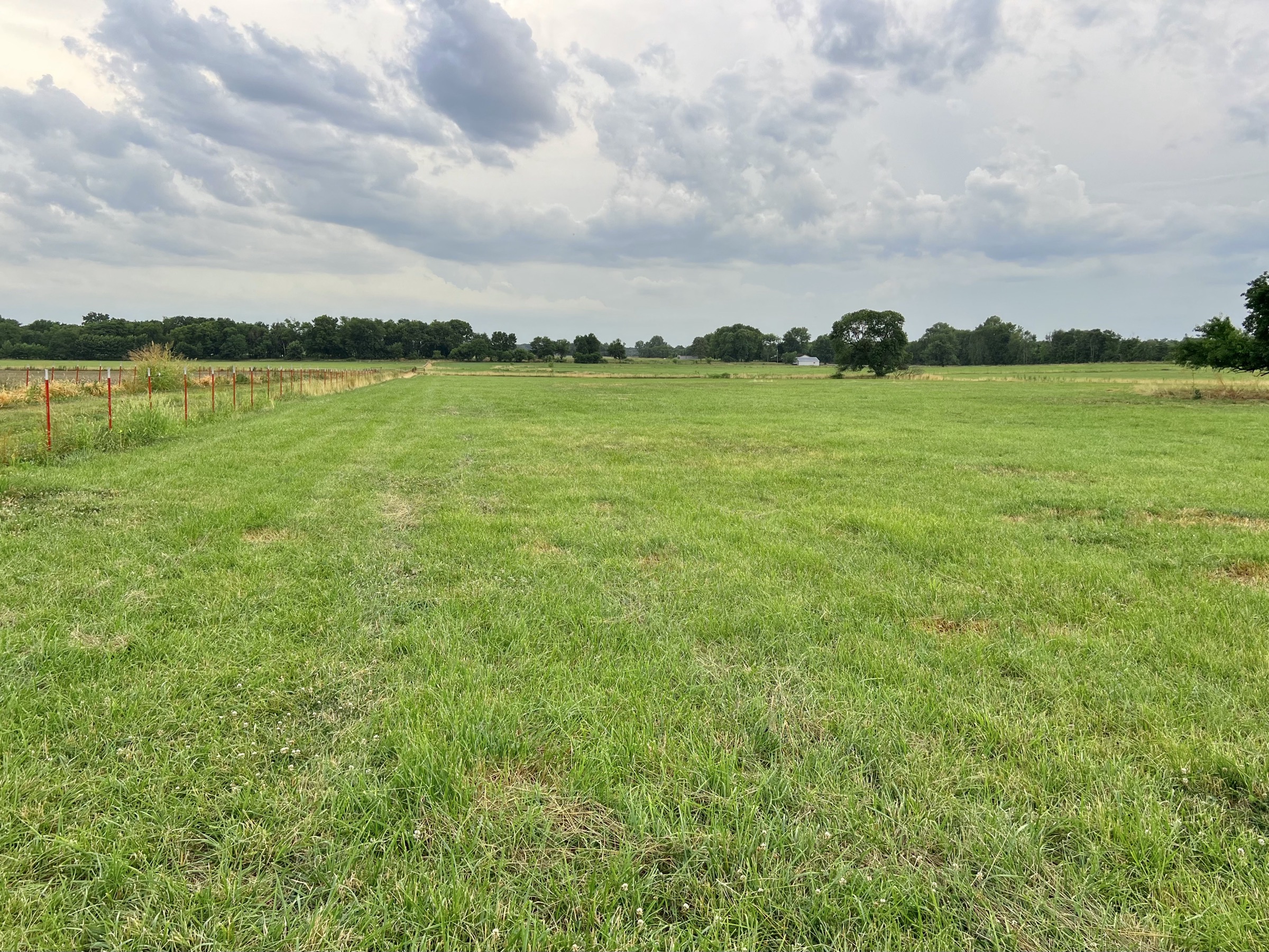 Tract 4 of 7: 15± acres
