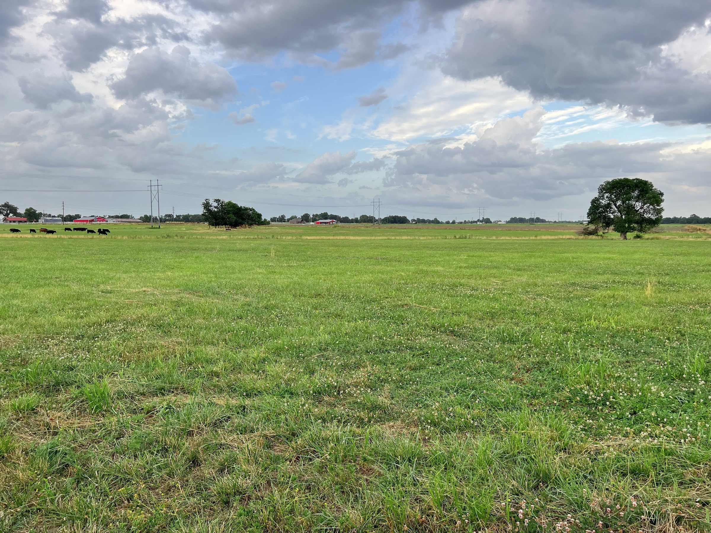 Tract 4 of 7: 15± acres
