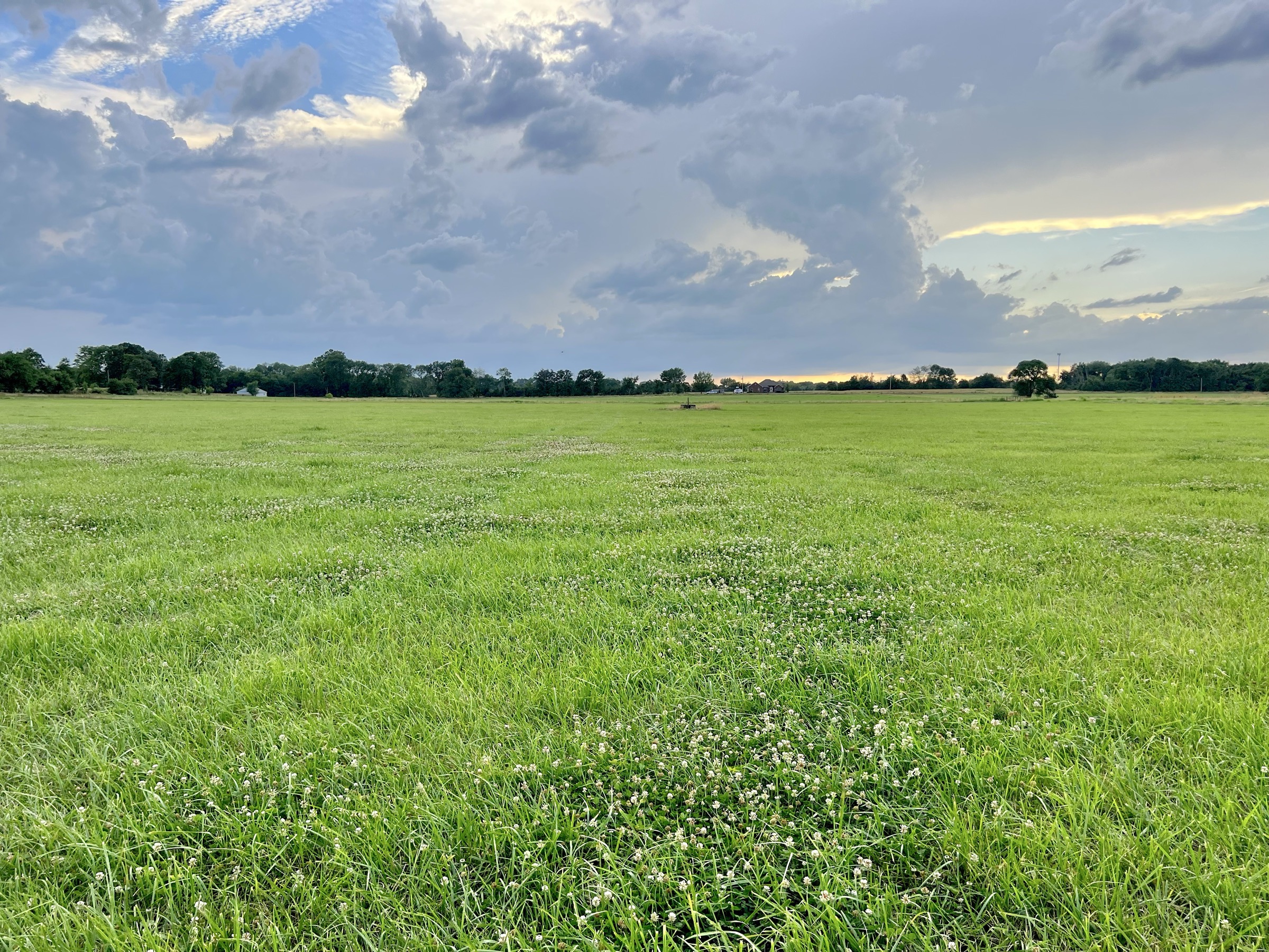 Tract 5 of 7: 34± acres