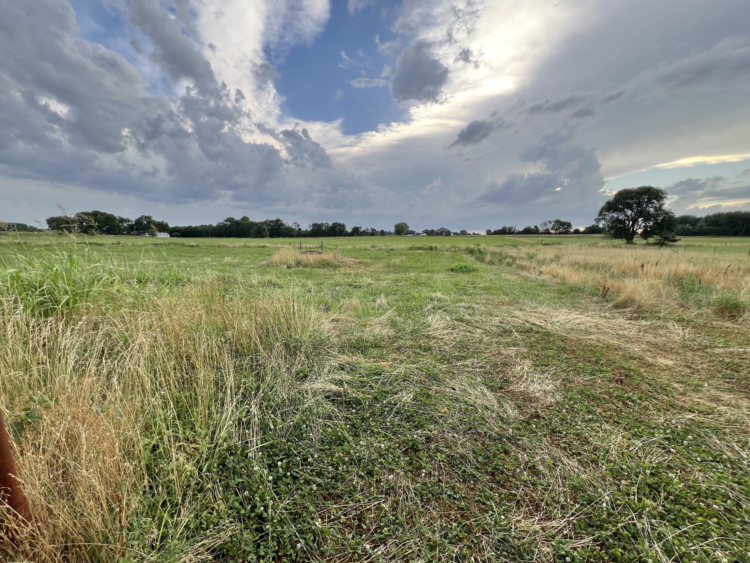 Tract 5 of 7: 34± acres