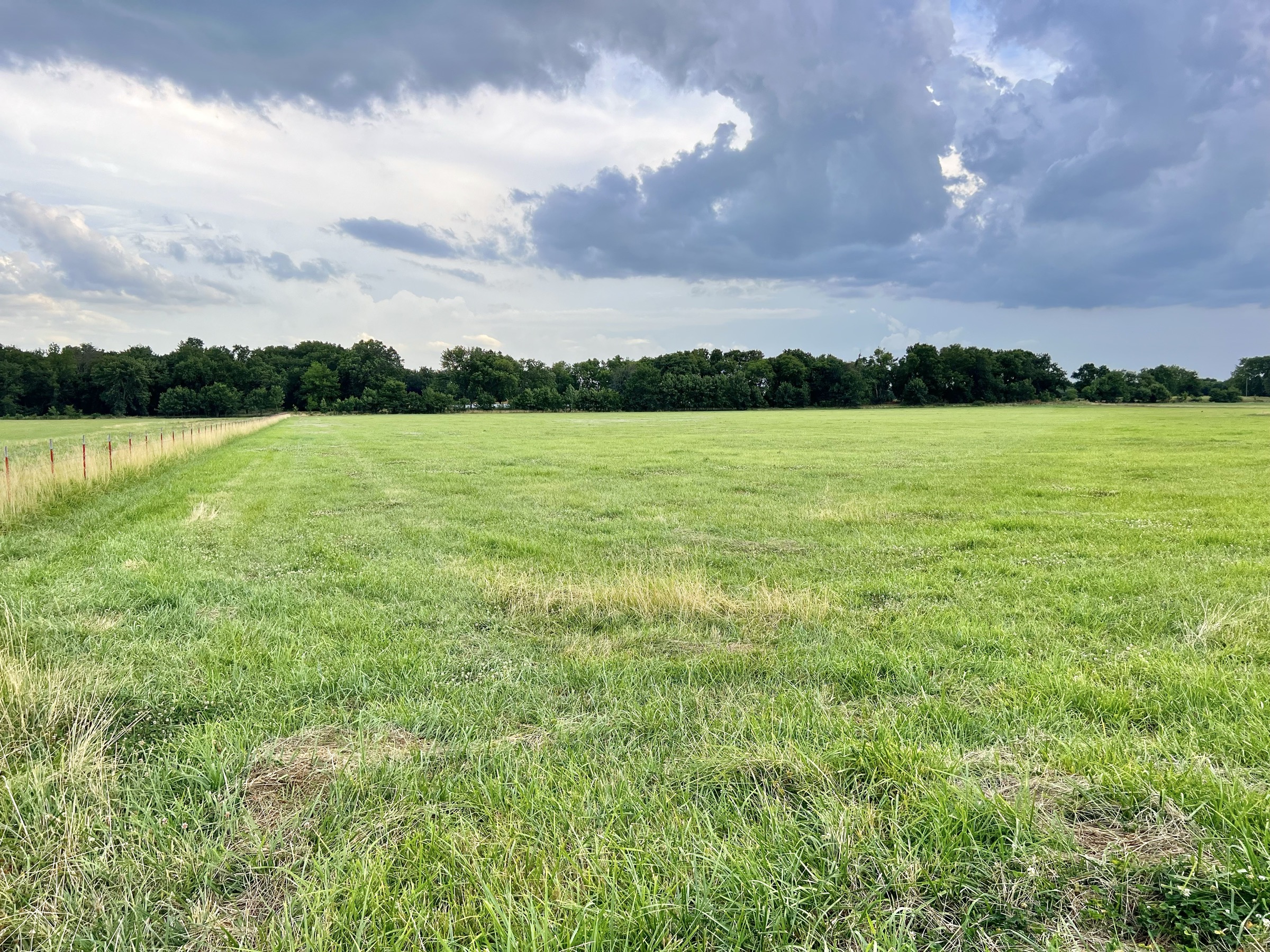 Tract 5 of 7: 34± acres