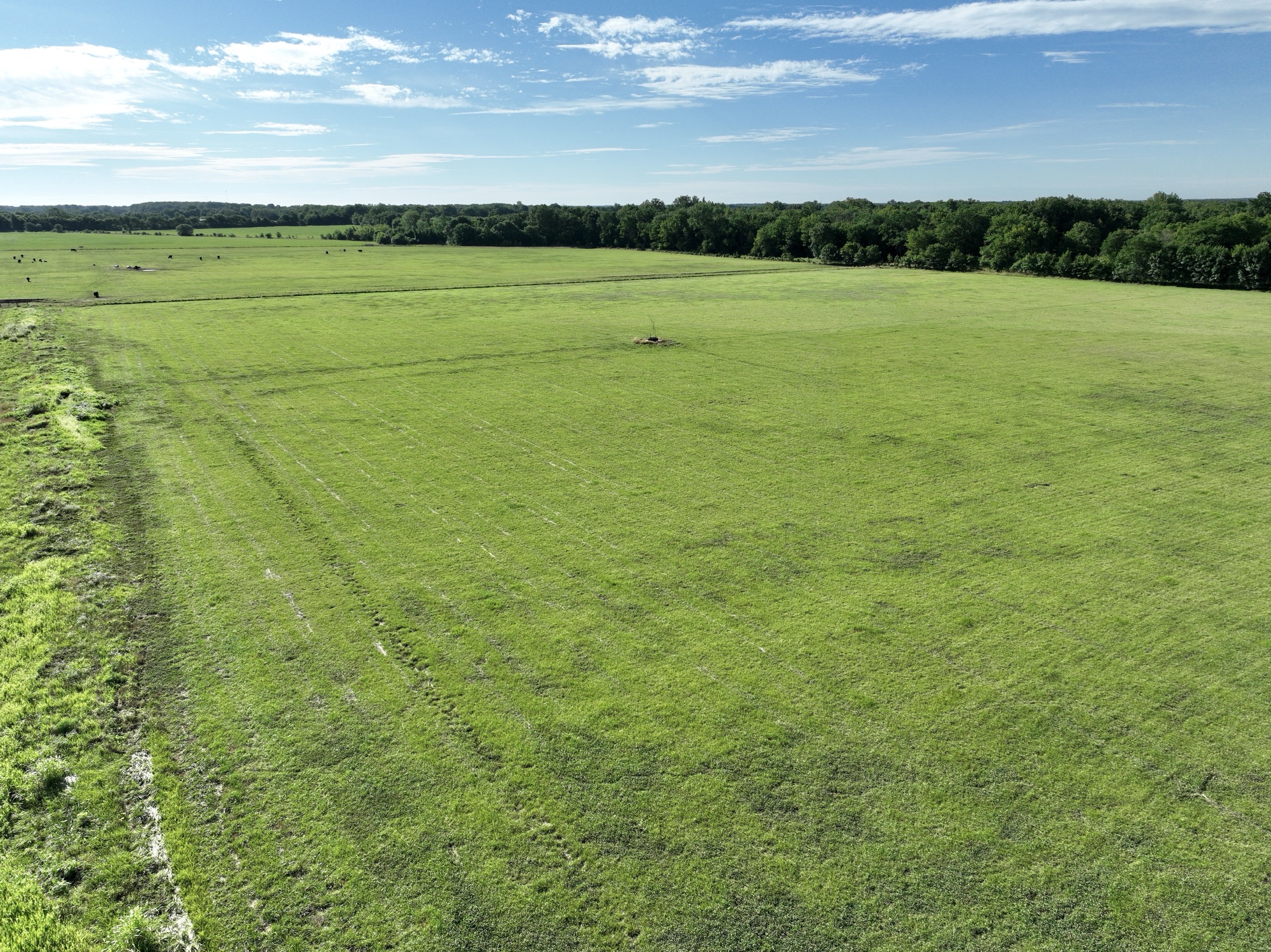 Tract 5 of 7: 34± acres