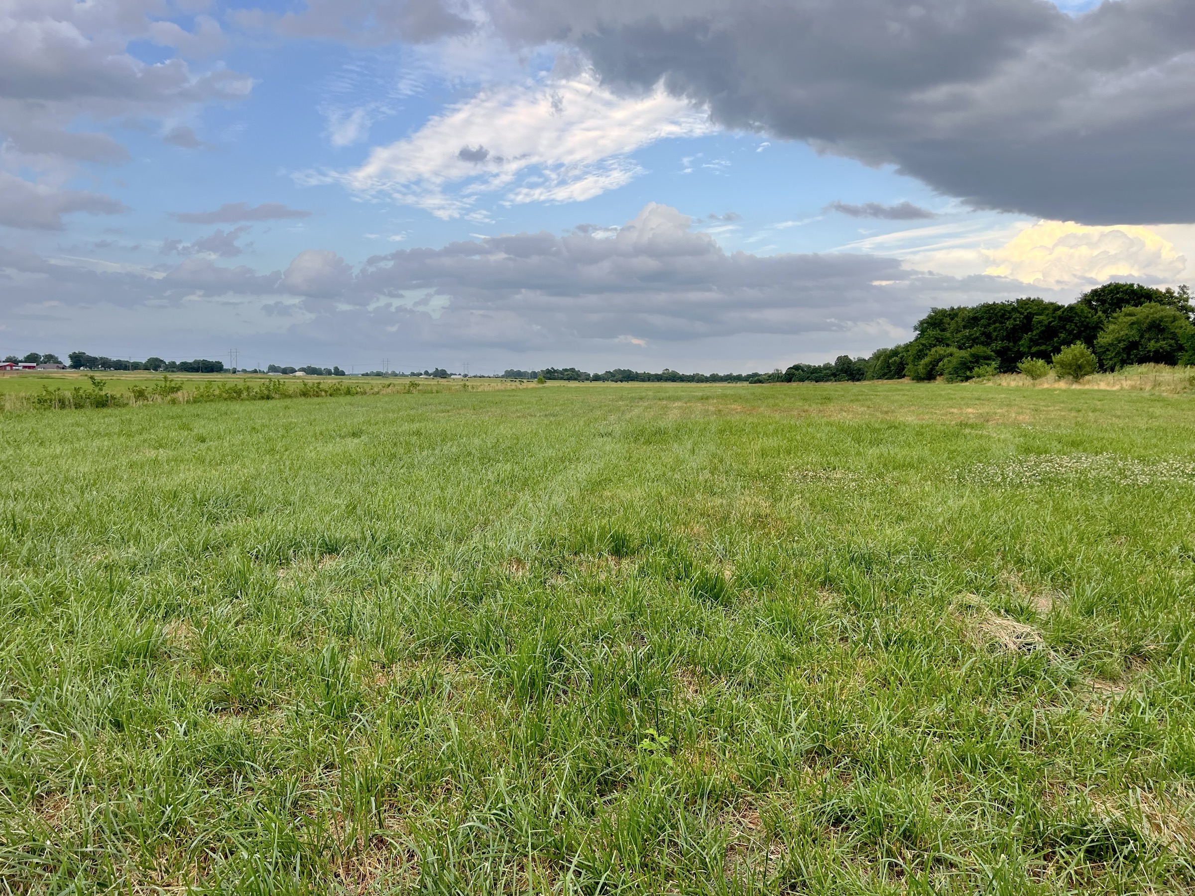 Tract 5 of 7: 34± acres